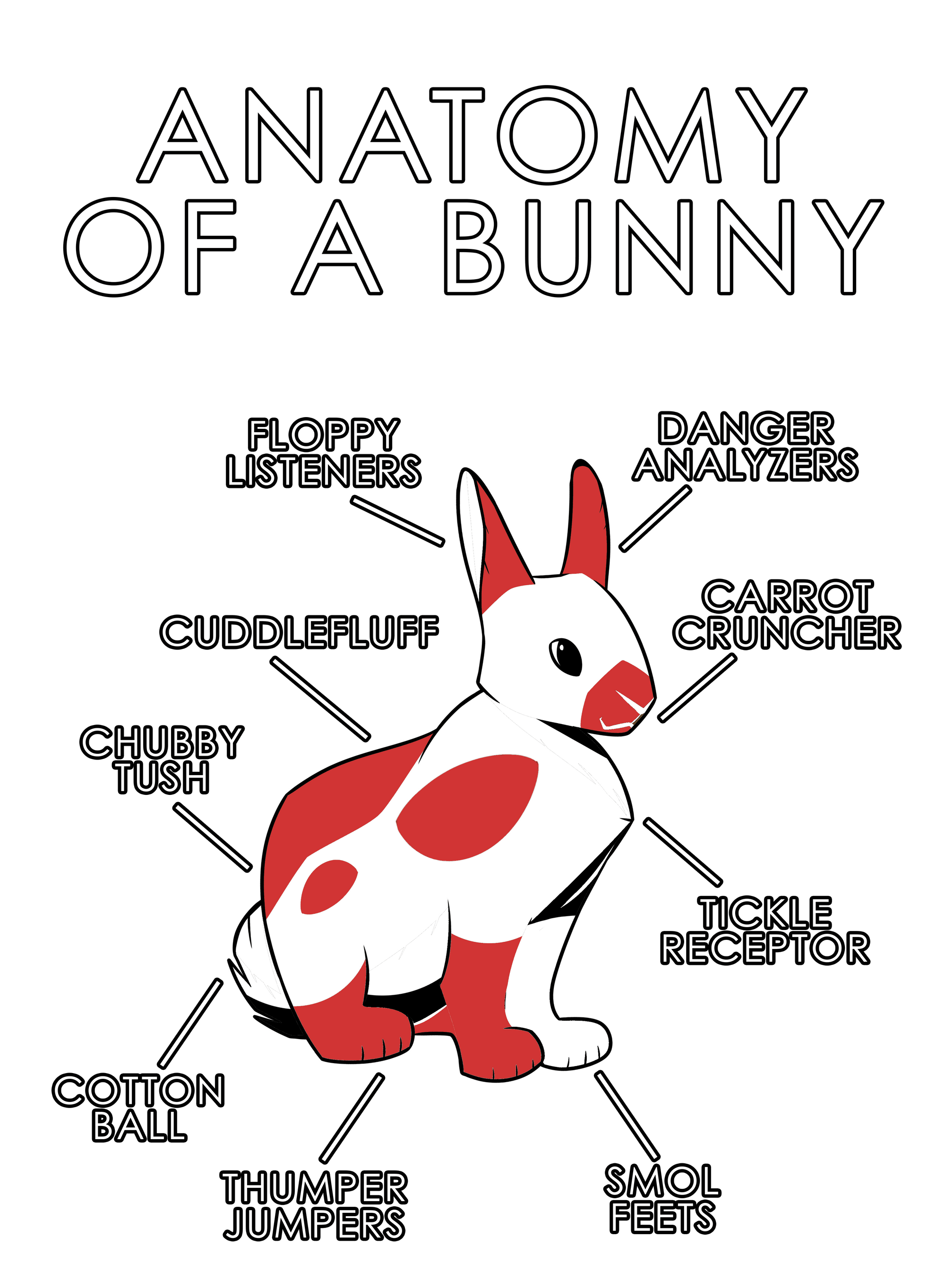 Anatomy Series - Gen 1 - Anatomy of a Bunny - Red
