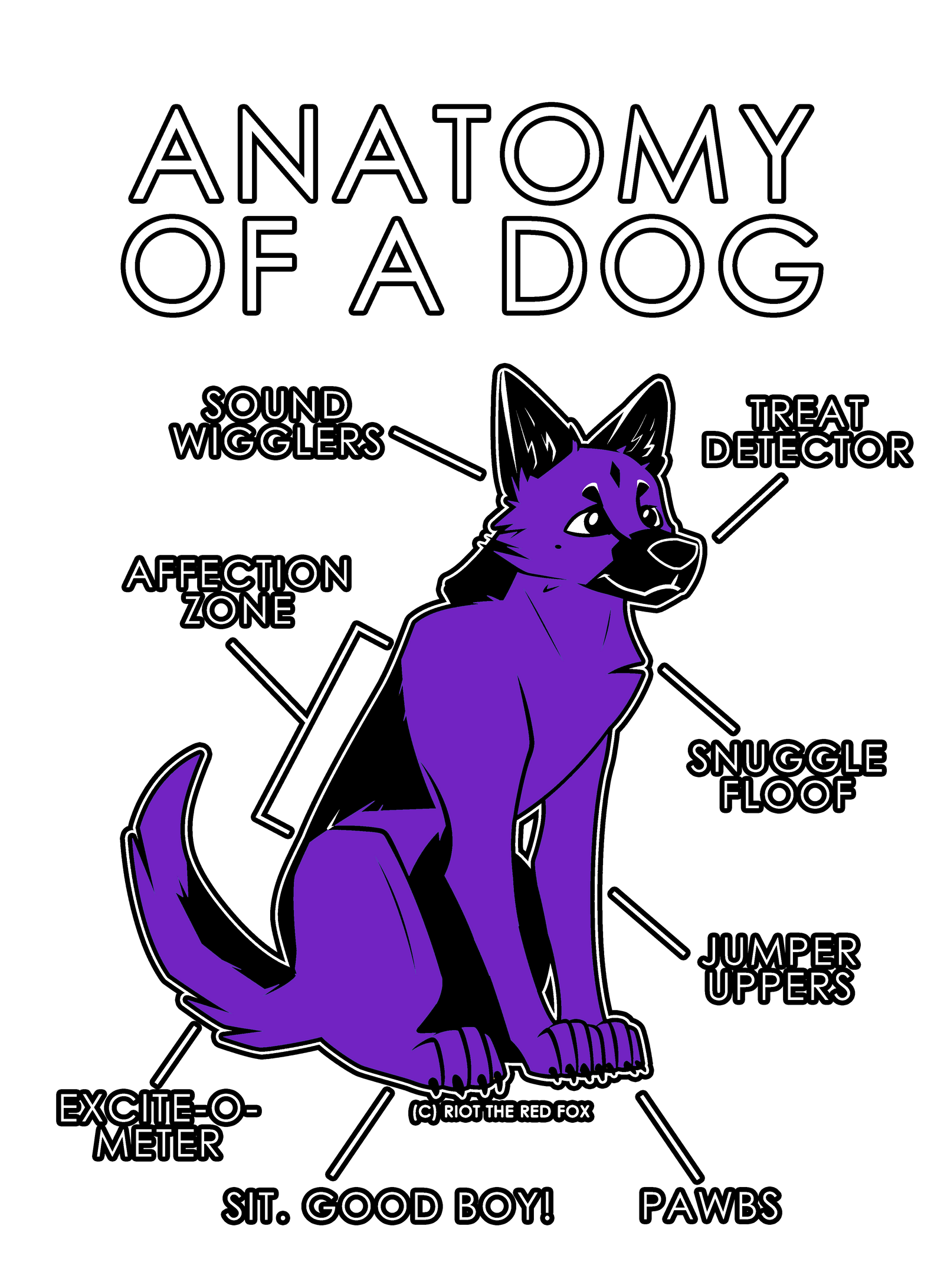 Anatomy Series - Gen 1 - Anatomy of a Dog - Purple