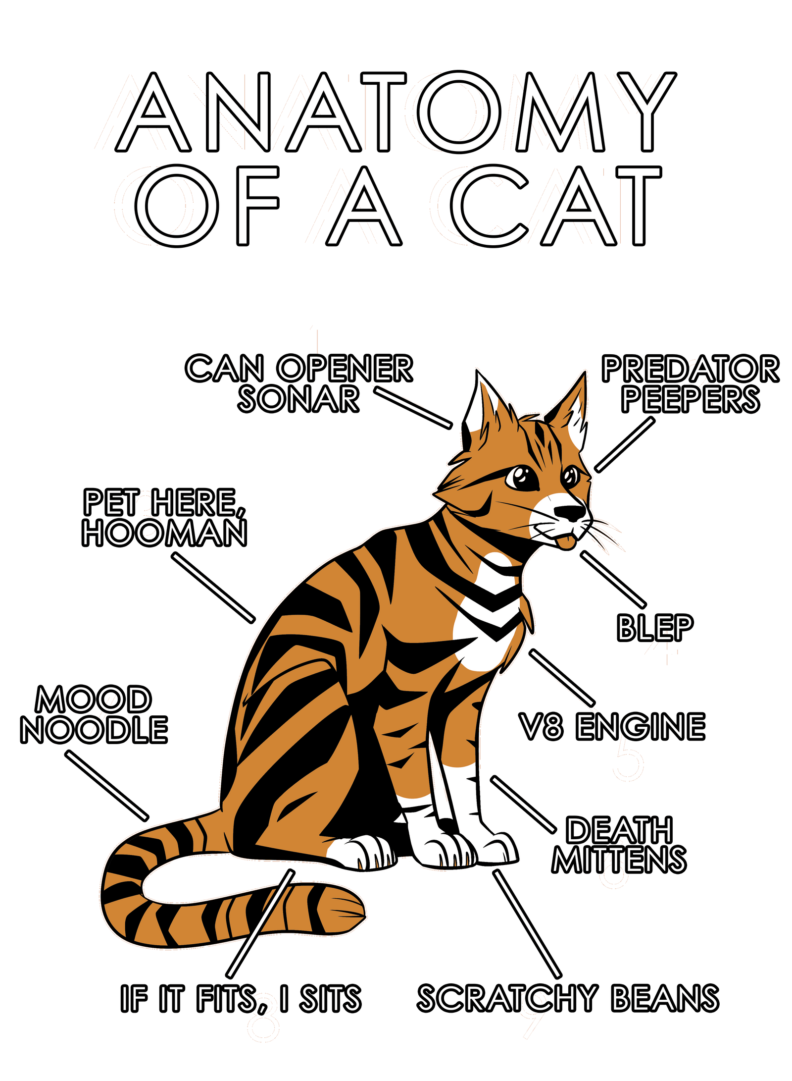 Anatomy Series - Gen 1 - Anatomy of a Cat - Orange