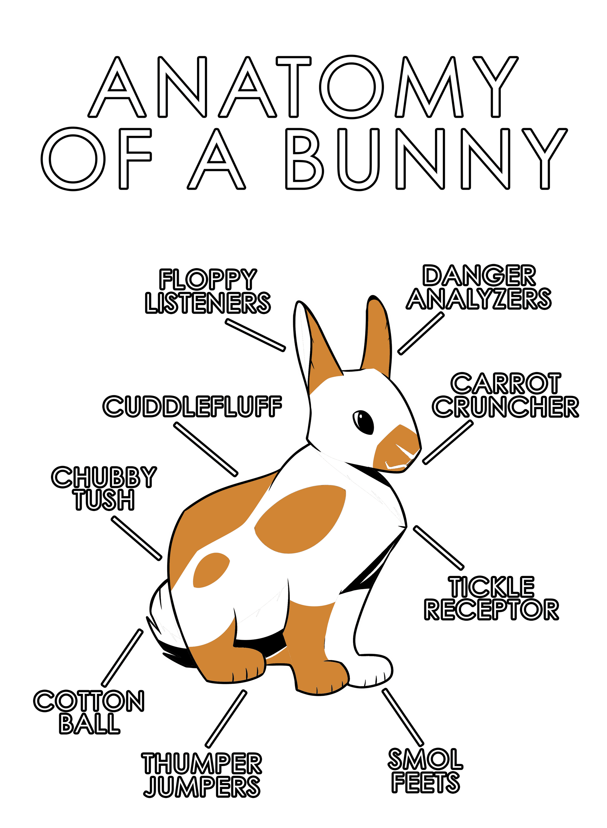 Anatomy Series - Gen 1 - Anatomy of a Bunny - Orange