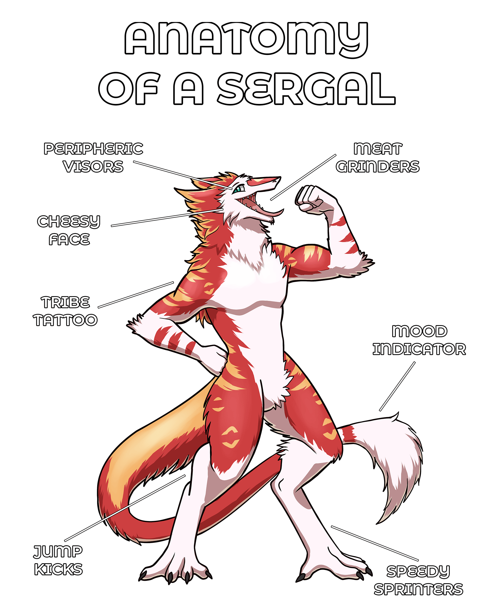 Anatomy Series - Gen 2 - Anatomy of a Sergal - Red