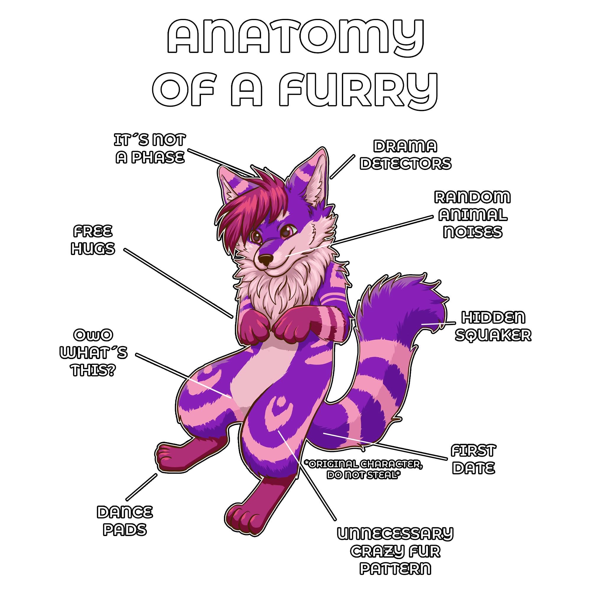 Anatomy Series - Gen 2 - Anatomy of a Furry - Purple and Pink