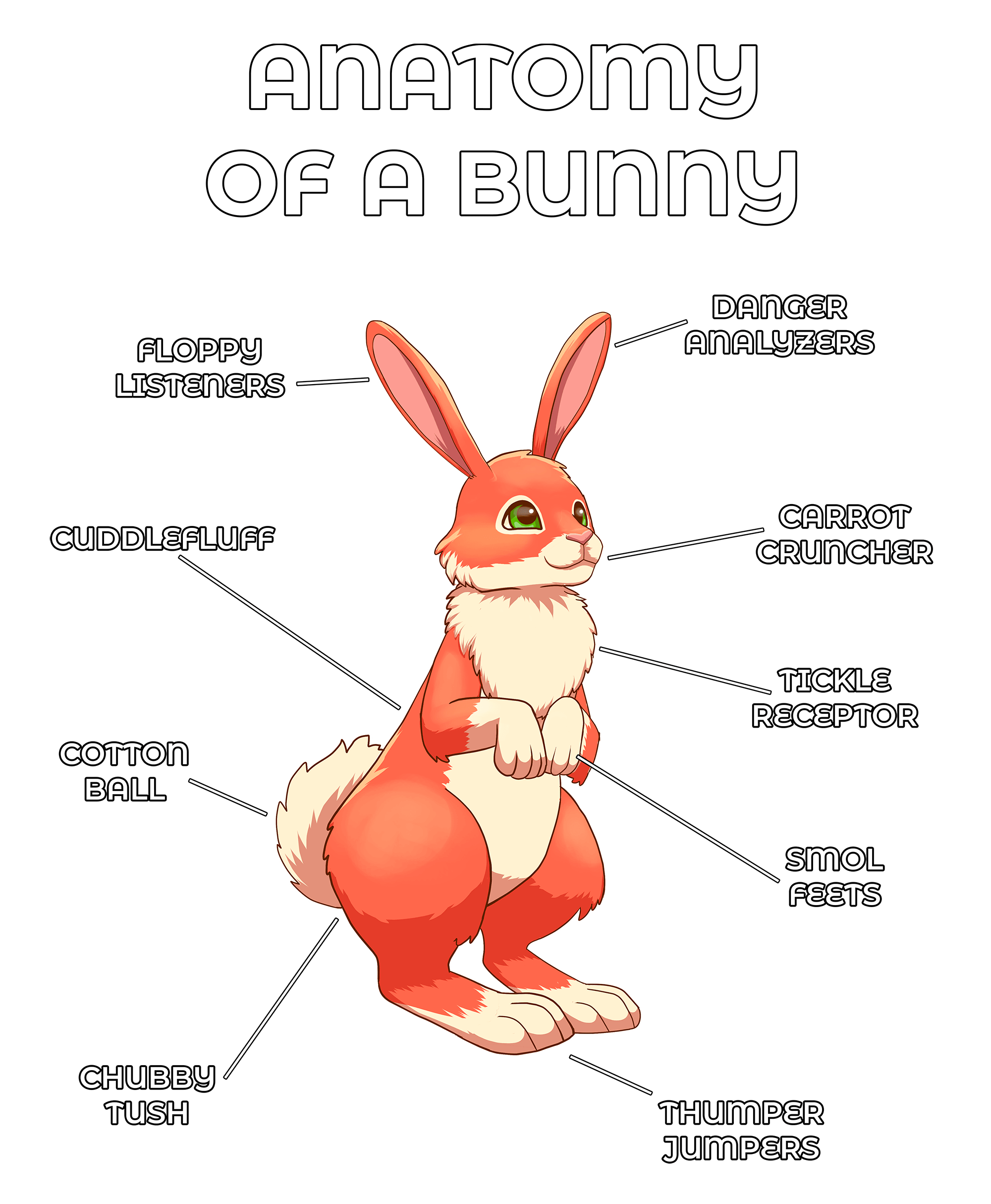 Anatomy Series - Gen 2 - Anatomy of a Bunny - Red