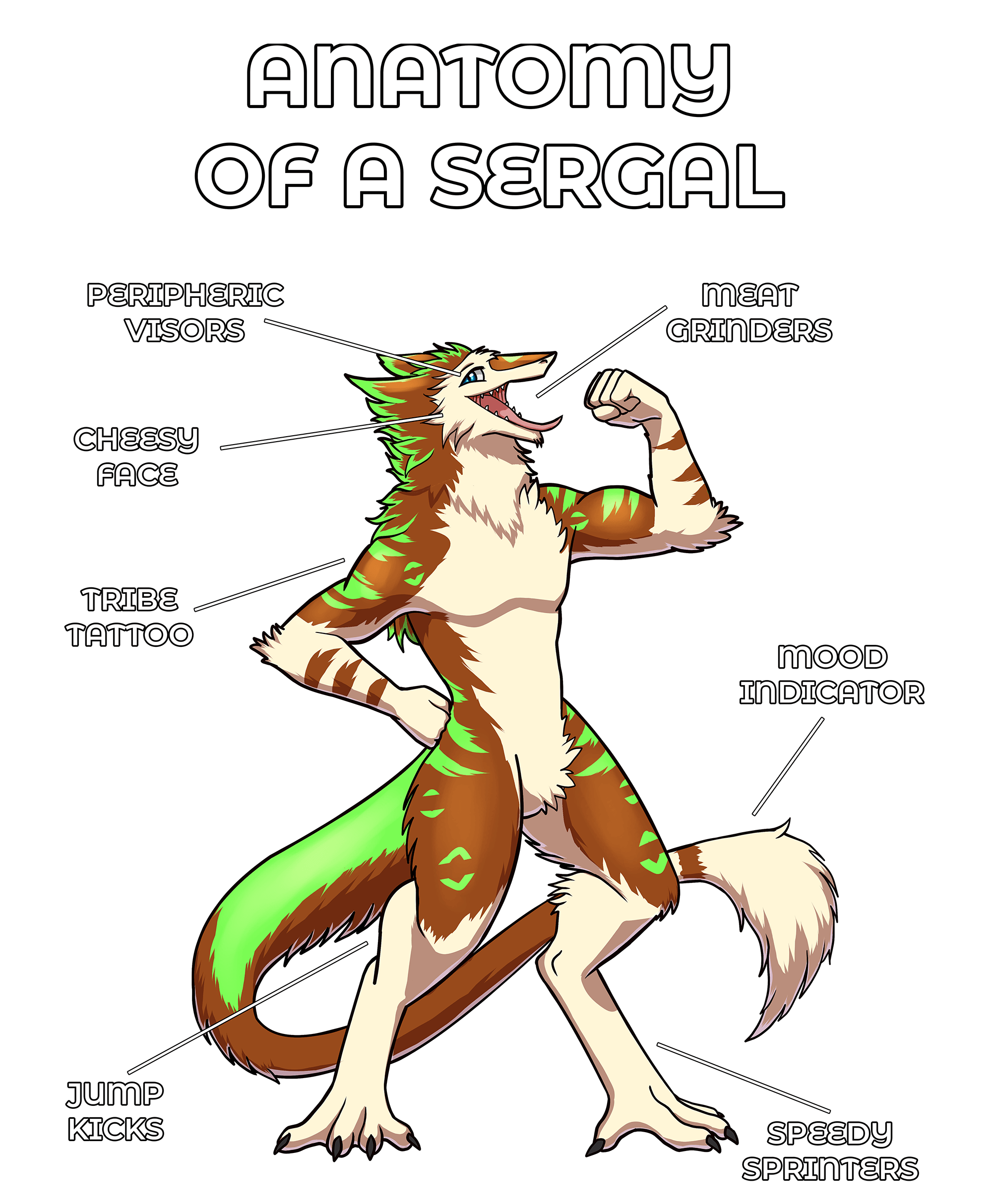 Anatomy Series - Gen 2 - Anatomy of a Sergal - Brown