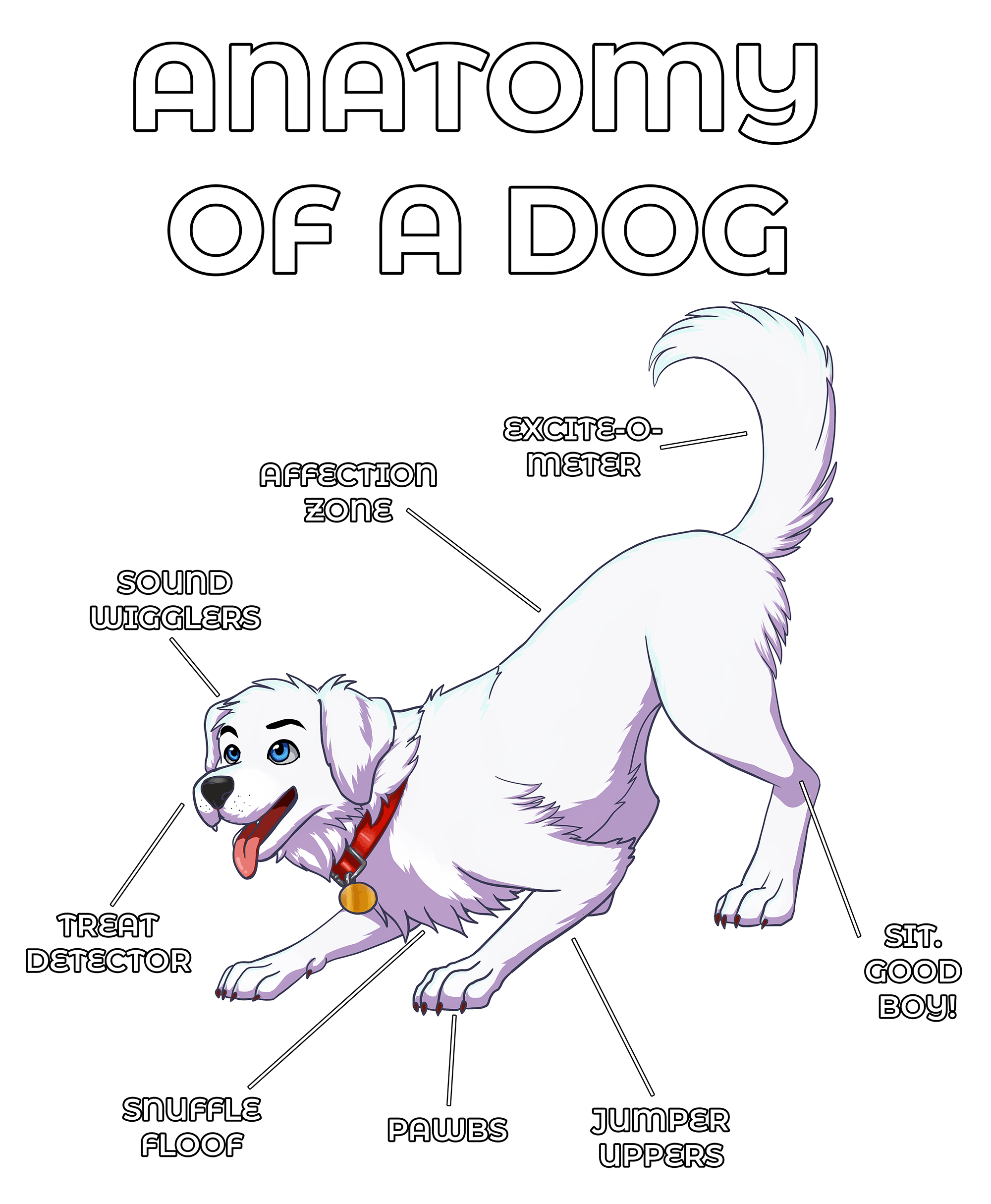 Anatomy Series - Gen 2 - Anatomy of a Dog - White