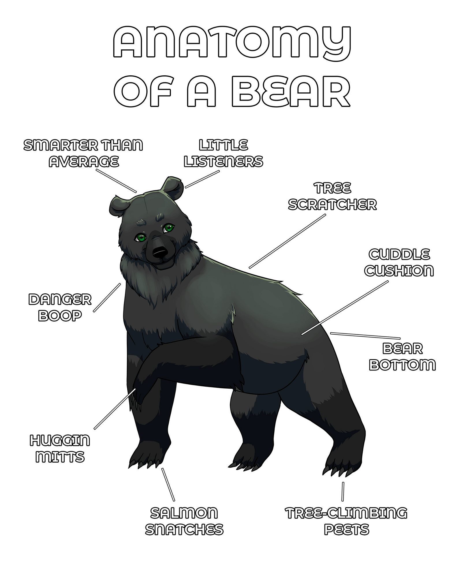 Anatomy Series - Gen 2 - Anatomy of a Bear - Black