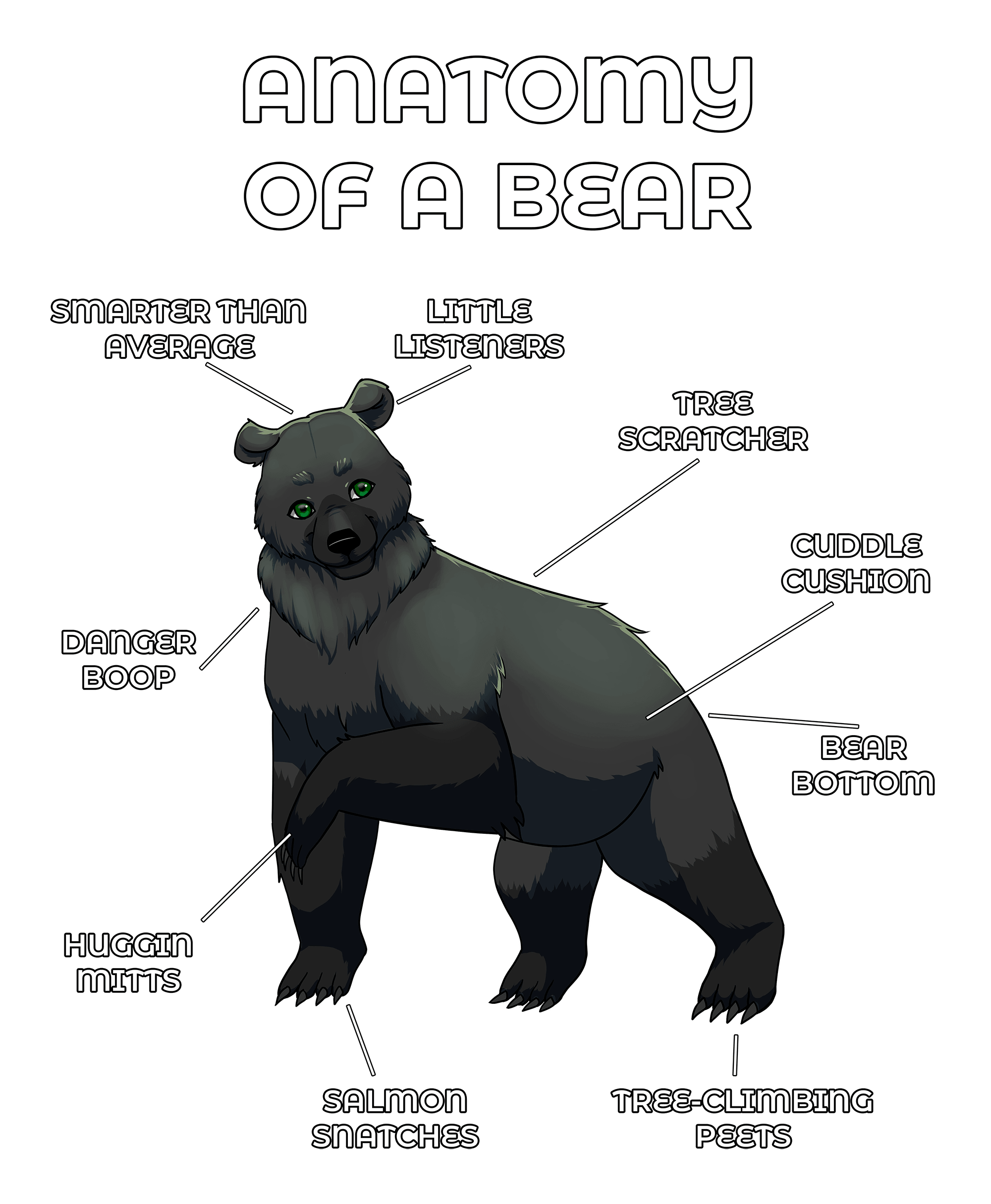 Anatomy Series - Gen 2 - Anatomy of a Bear - Black