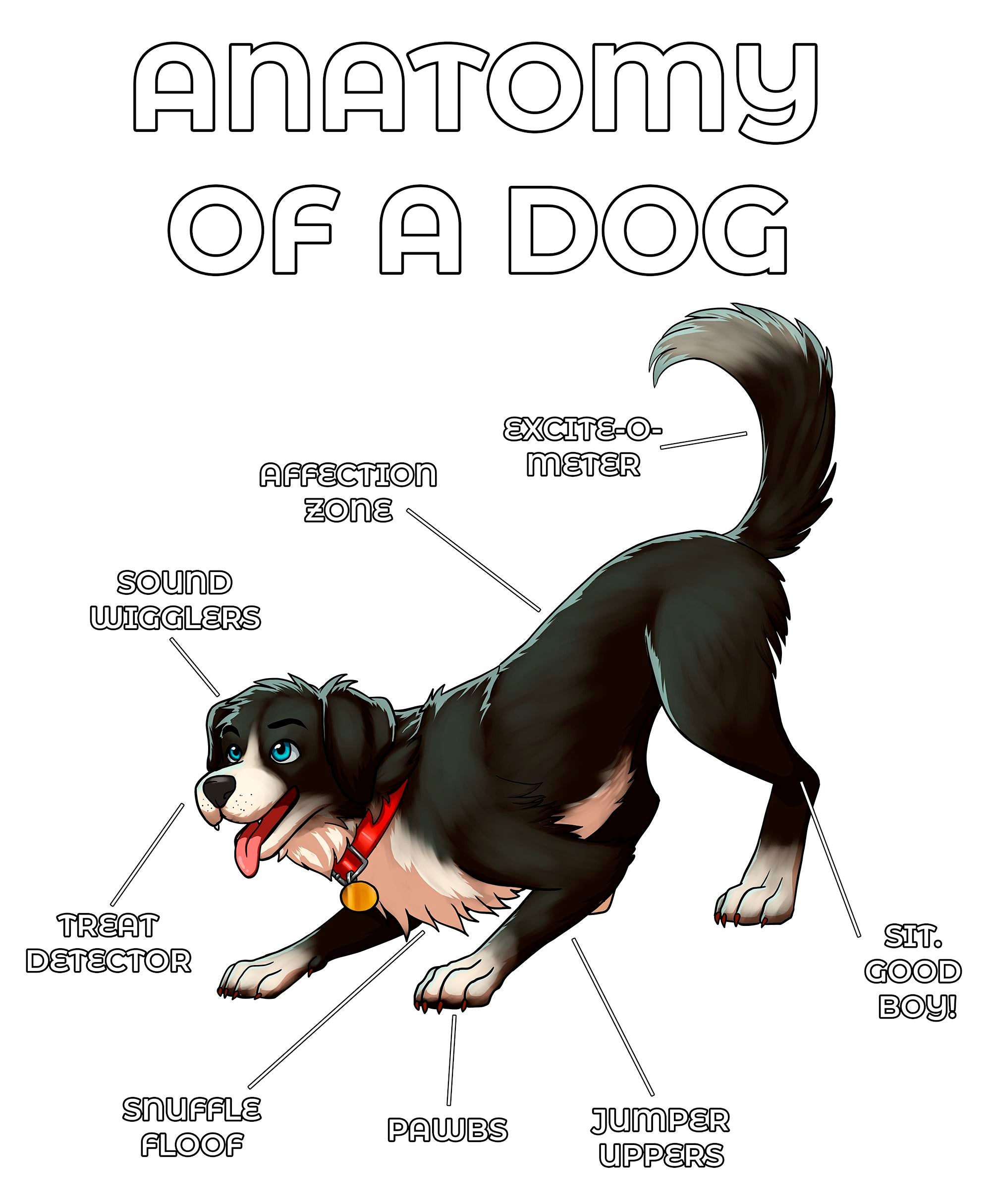 Anatomy Series - Gen 2 - Anatomy of a Dog - Black