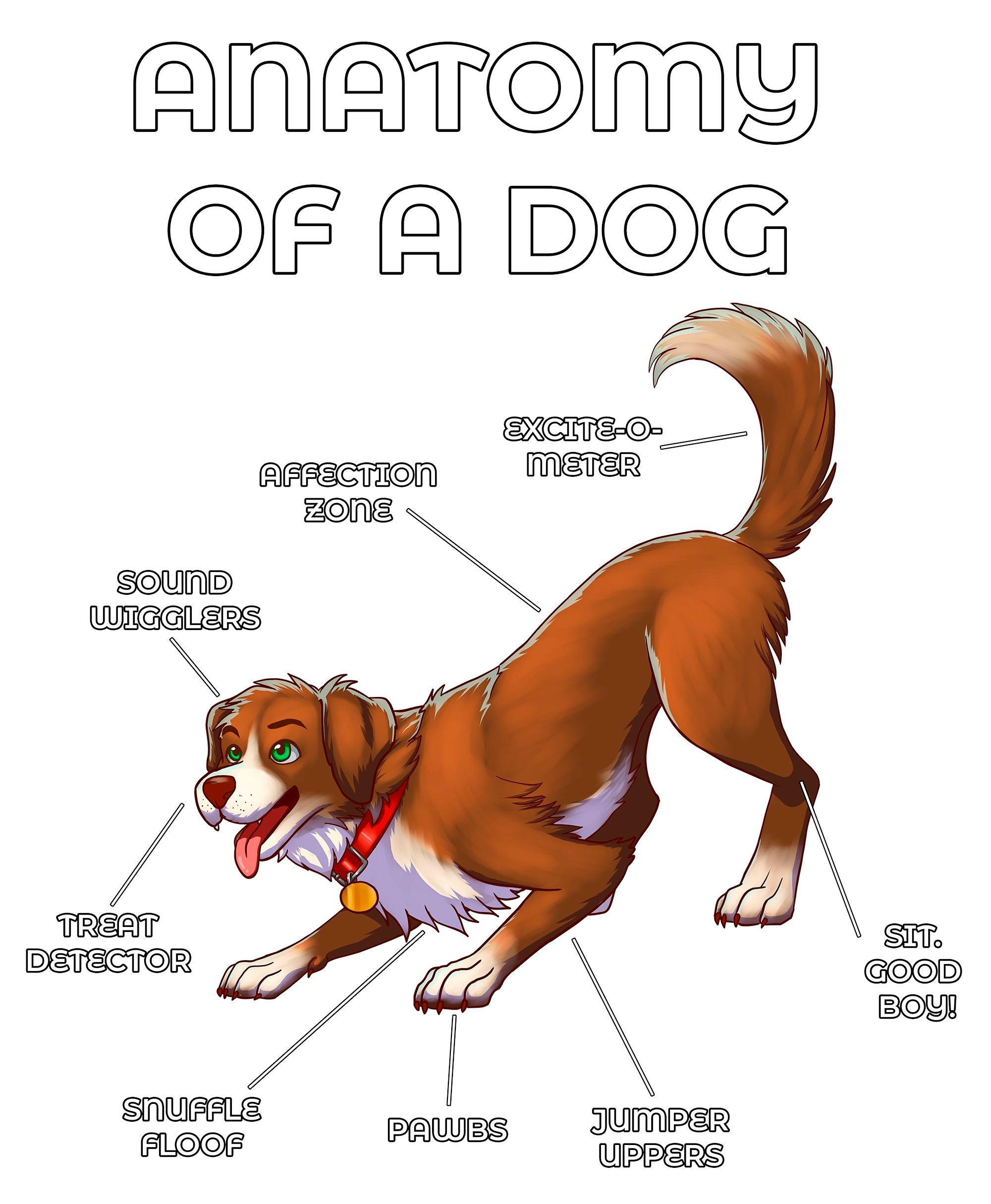 Anatomy Series - Gen 2 - Anatomy of a Dog