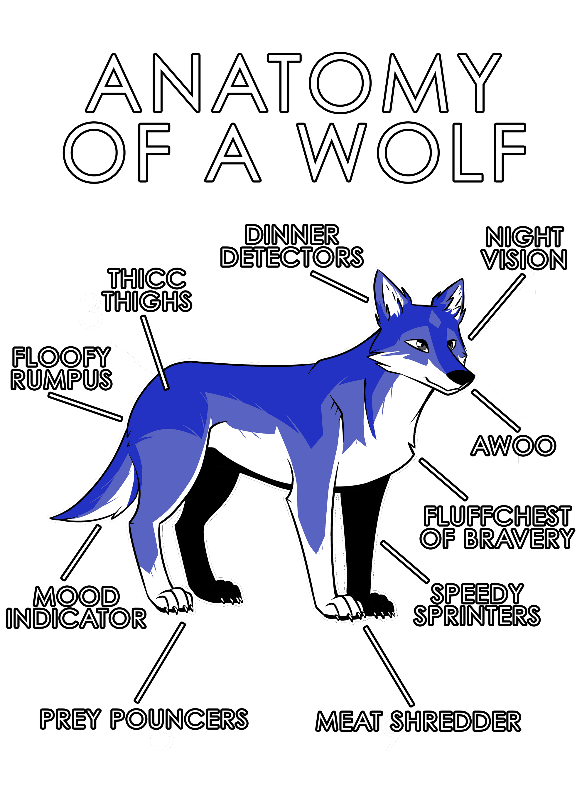 Anatomy Series - Gen 1 - Anatomy of a Wolf - Blue