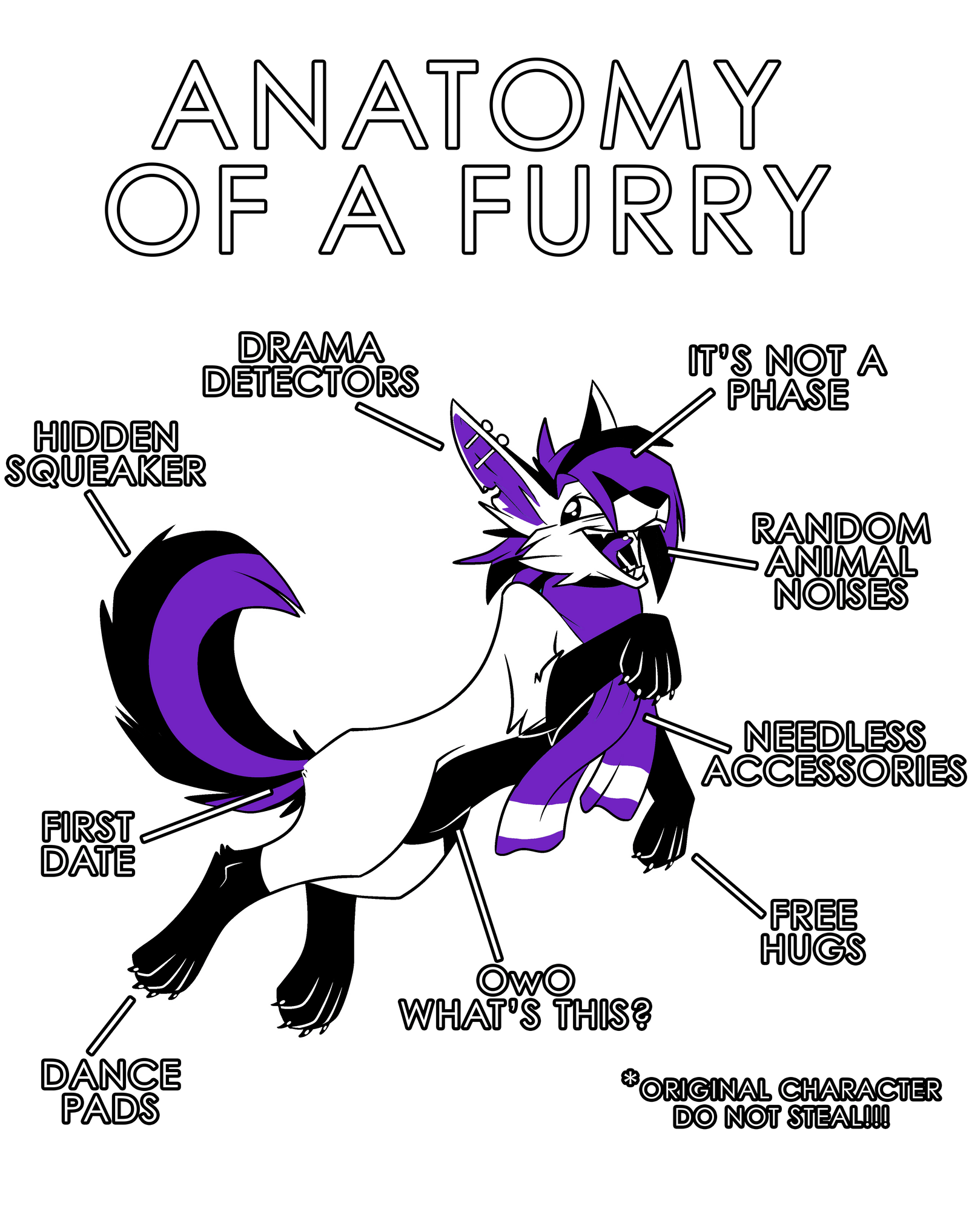 Anatomy Series - Gen 1 - Anatomy of a Furry - Purple