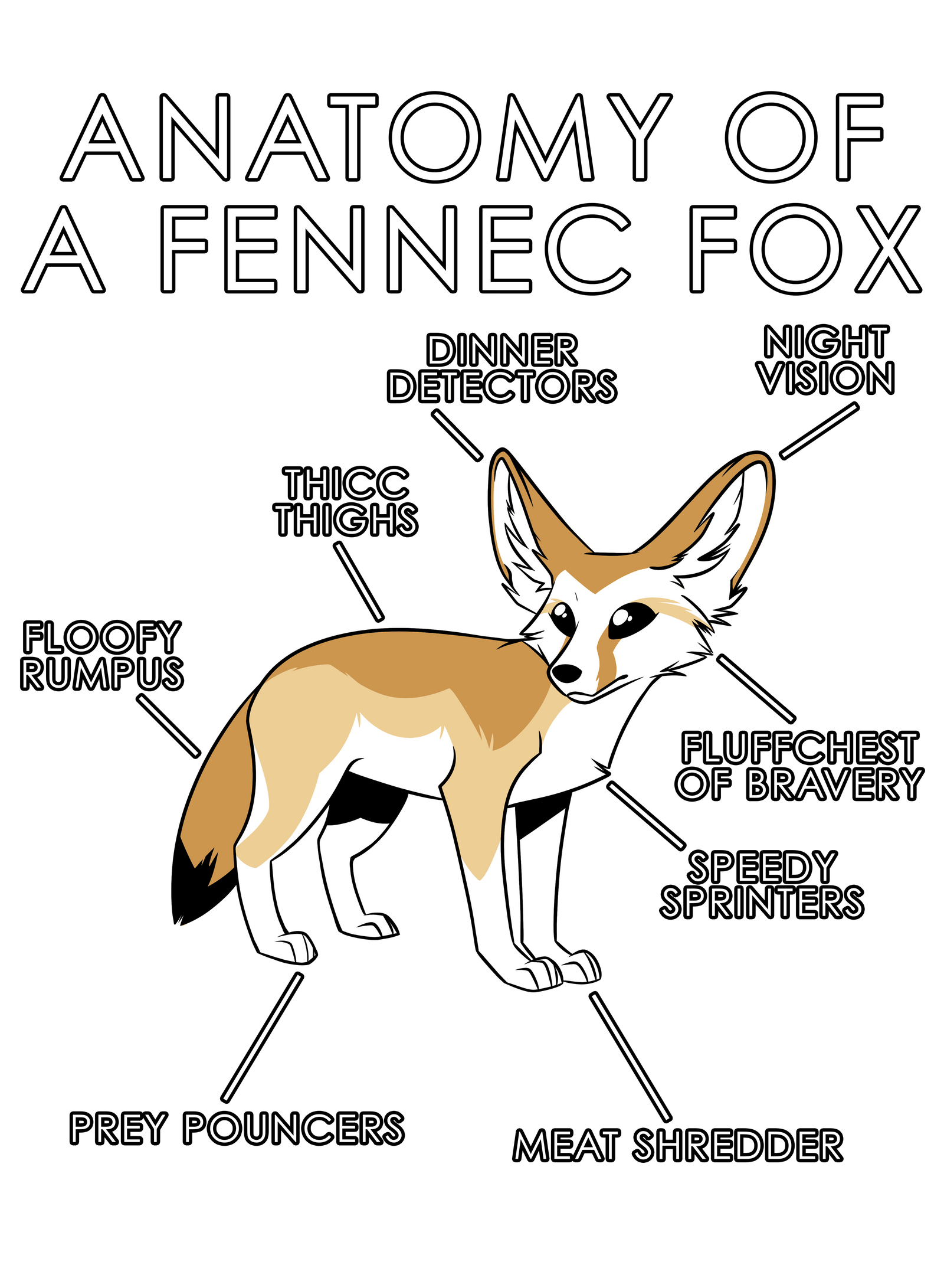 Anatomy Series - Gen 1 - Anatomy of a Fennec - Natural