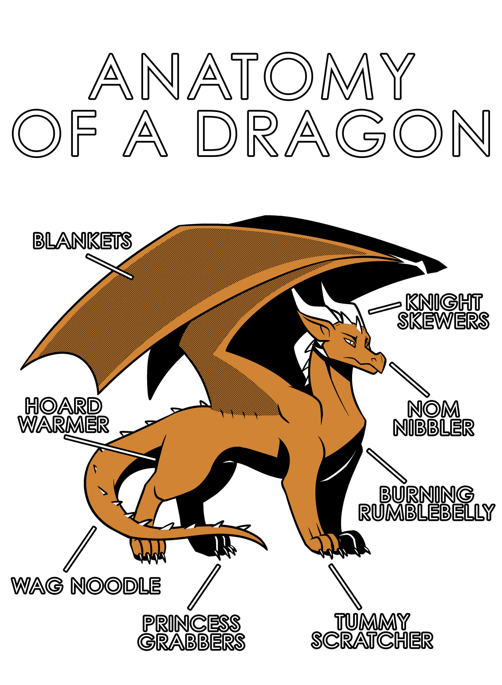 Anatomy Series - Gen 1 - Anatomy of a Dragon - Orange