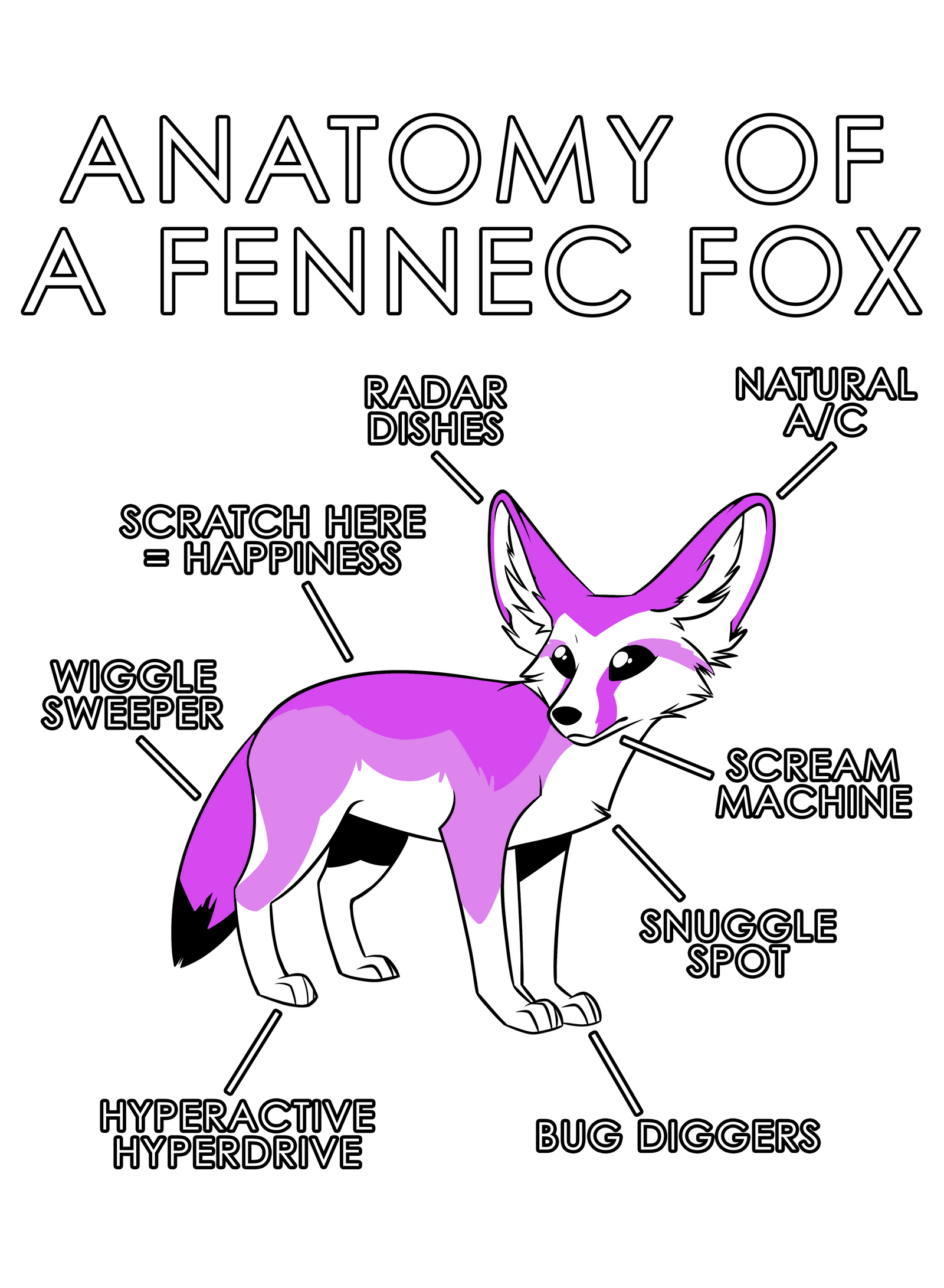 Anatomy Series - Gen 1 - Anatomy of a Fennec - Pink