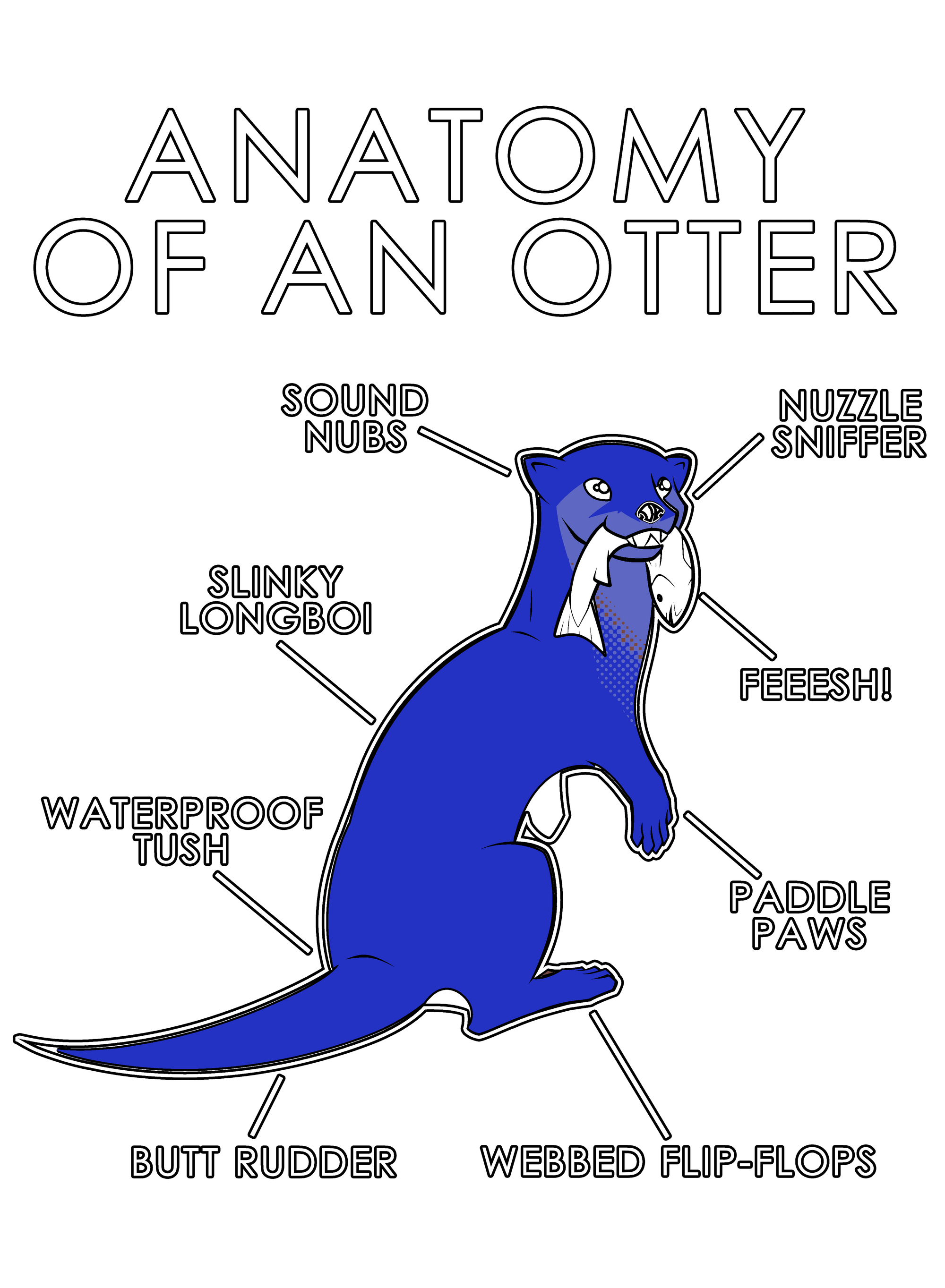 Anatomy Series - Gen 1 - Anatomy of an Otter - Blue