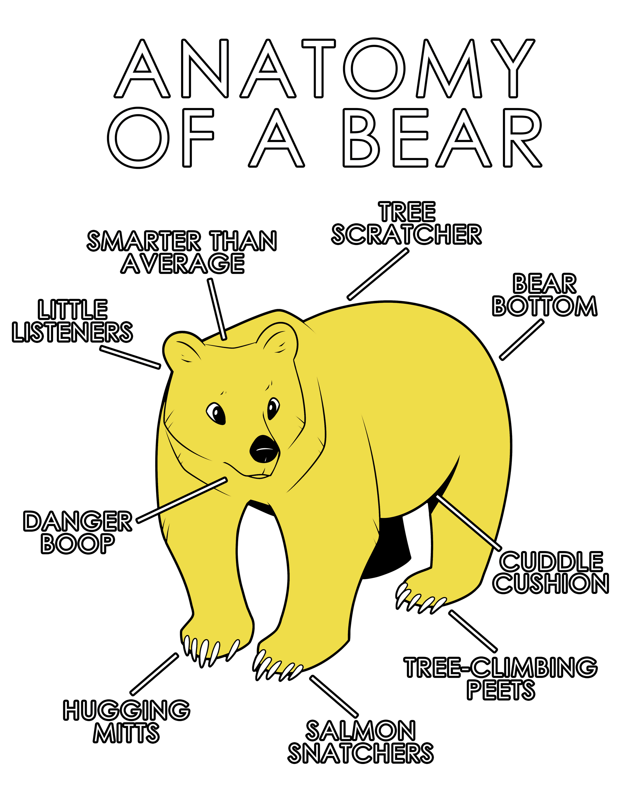 Anatomy Series - Gen 1 - Anatomy of a Bear - Yellow
