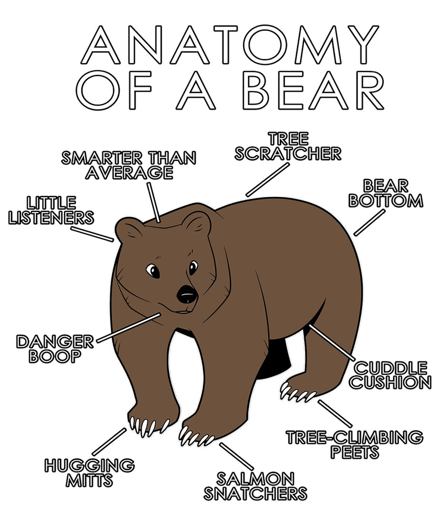 Anatomy of a Bear