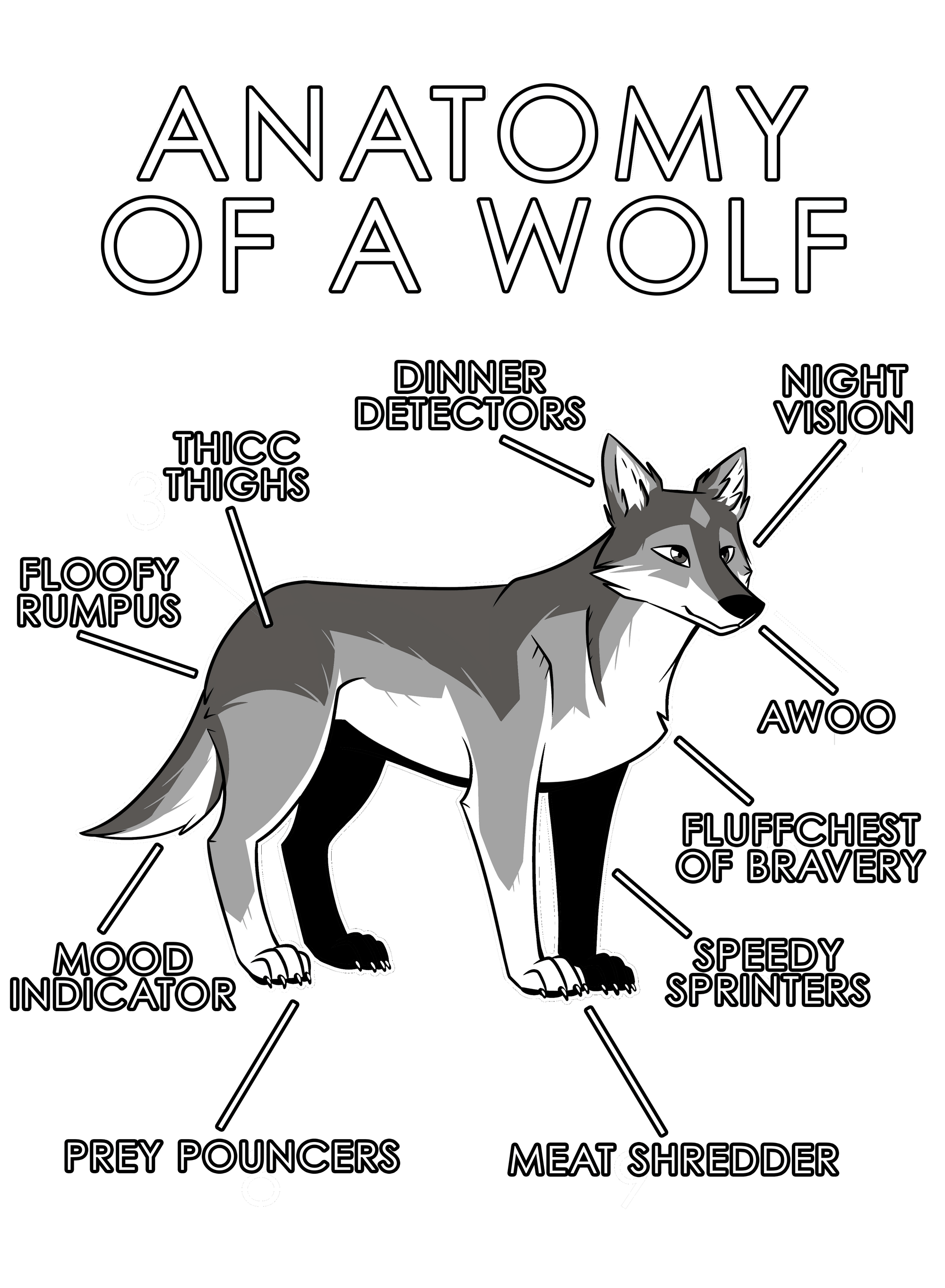 Anatomy Series - Gen 1 - Anatomy of a Wolf