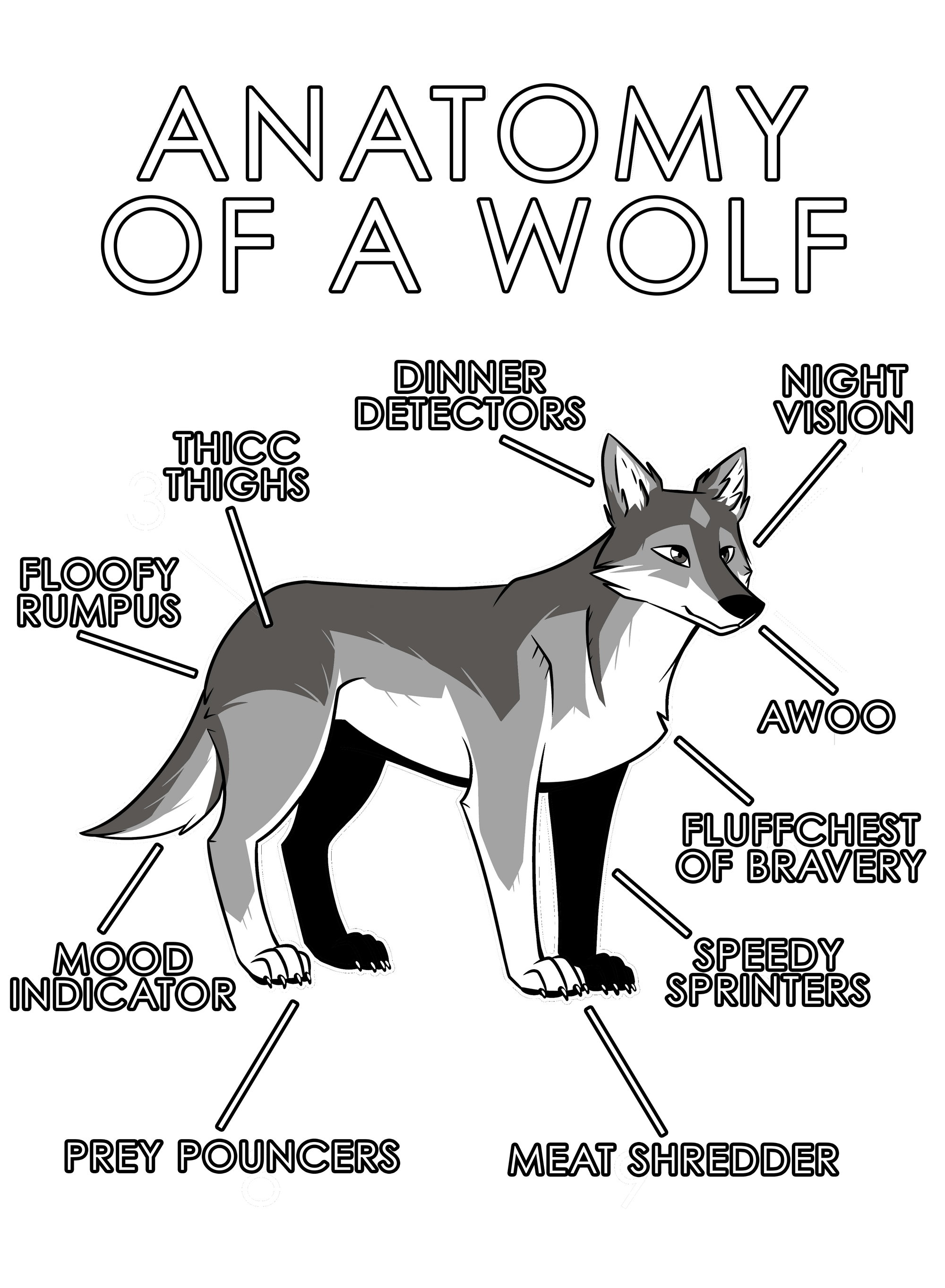 Anatomy Series - Gen 1 - Anatomy of a Wolf - Natural