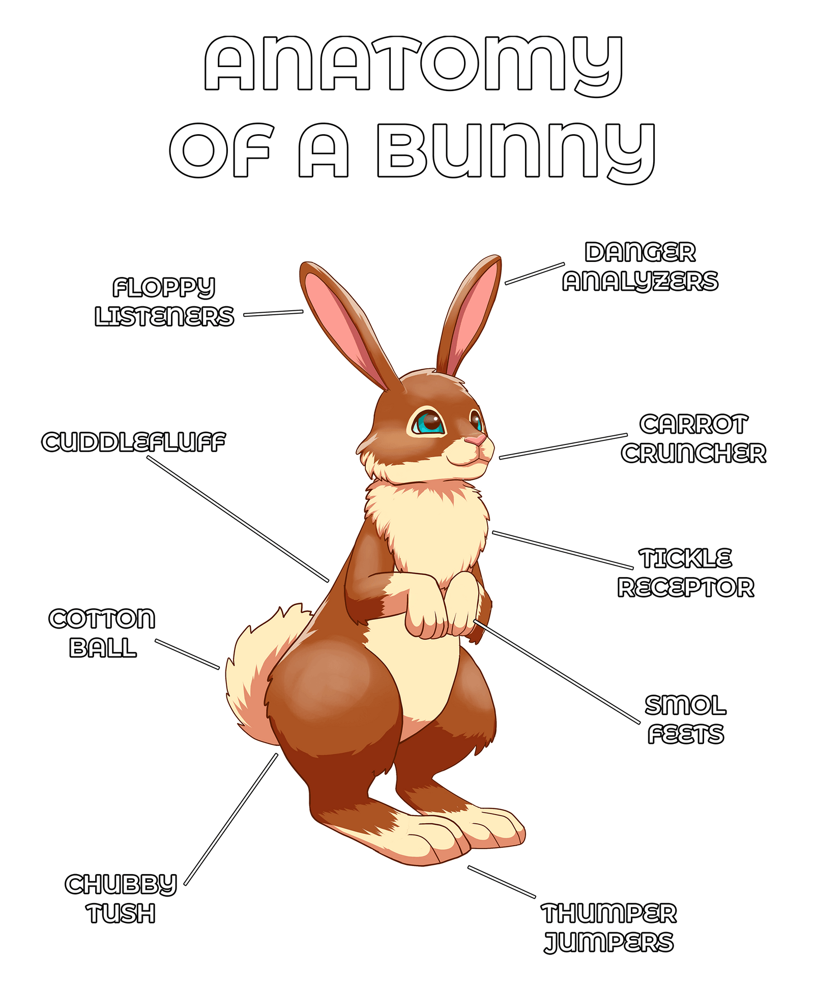 Anatomy Series - Gen 2 - Anatomy of a Bunny - Brown
