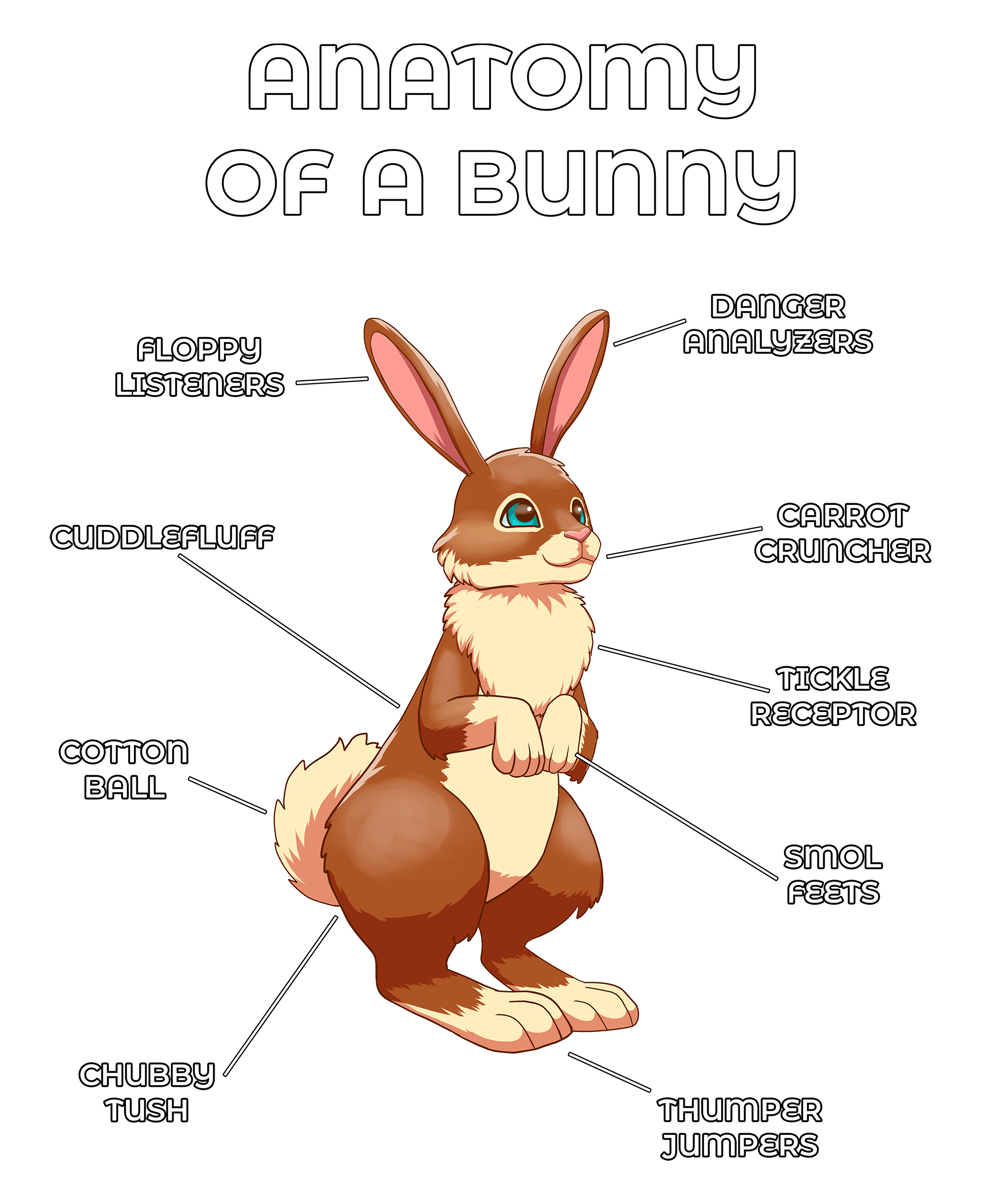 Anatomy Series - Gen 2 - Anatomy of a Bunny - Brown