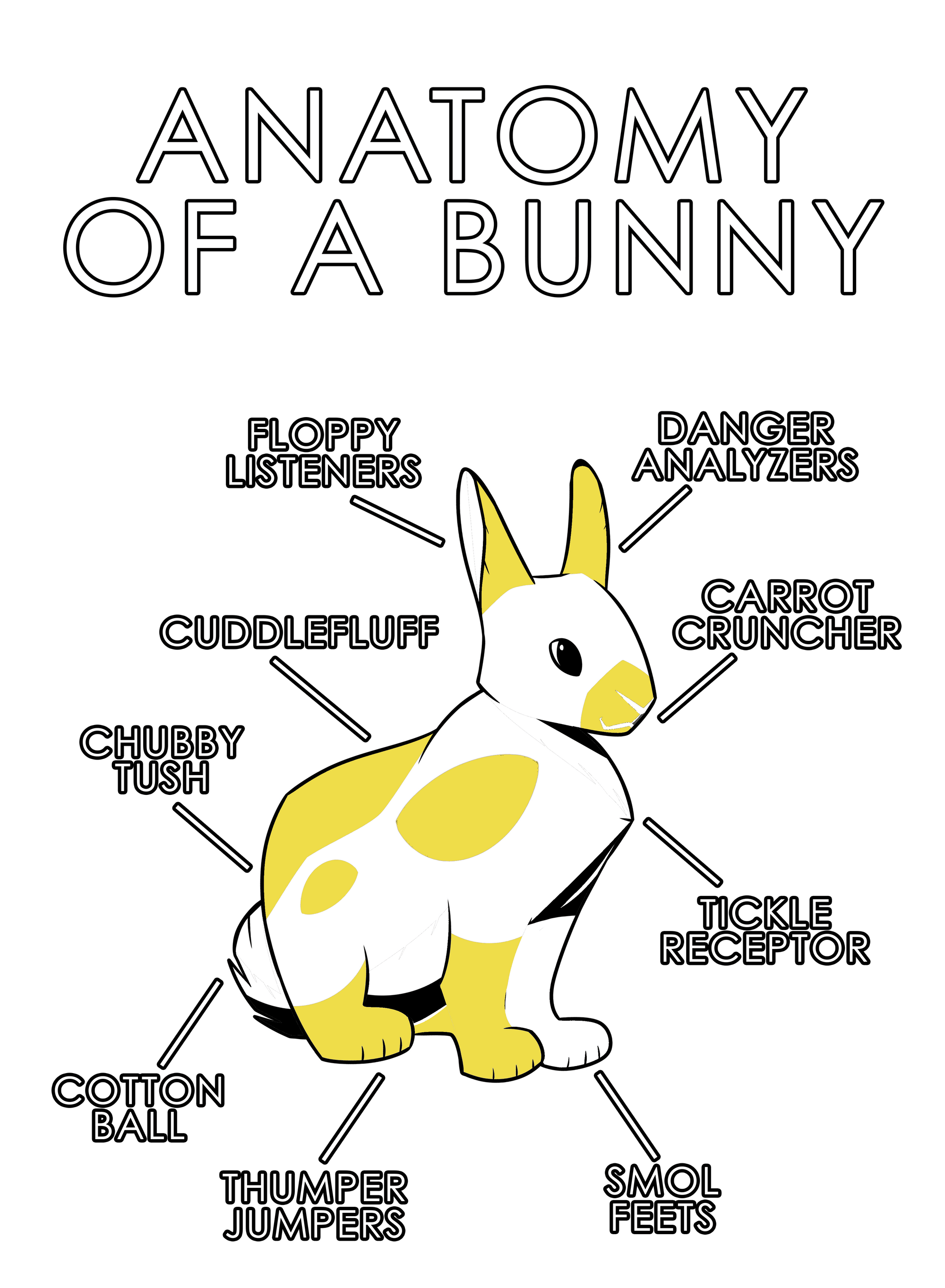 Anatomy Series - Gen 1 - Anatomy of a Bunny - Yellow