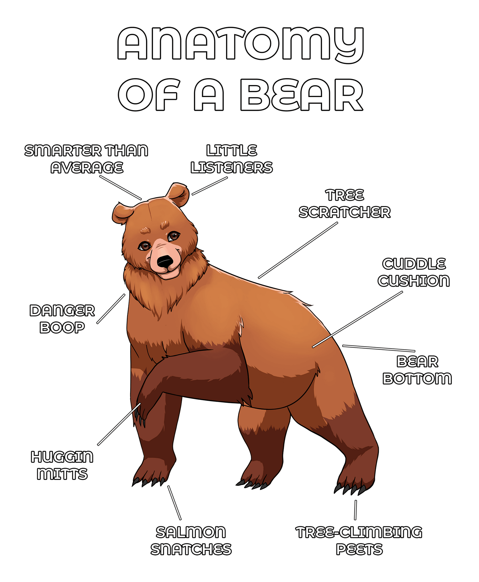 Anatomy Series - Gen 2 - Anatomy of a Bear - Brown