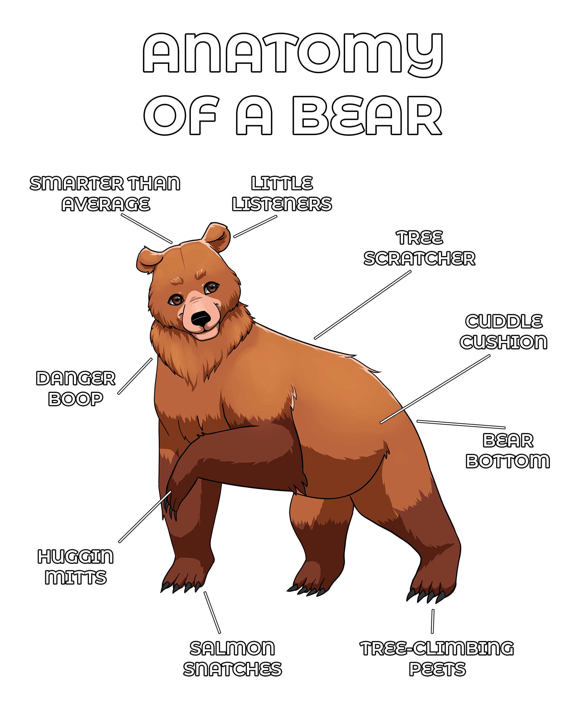 Anatomy Series - Gen 2 - Anatomy of a Bear - Brown