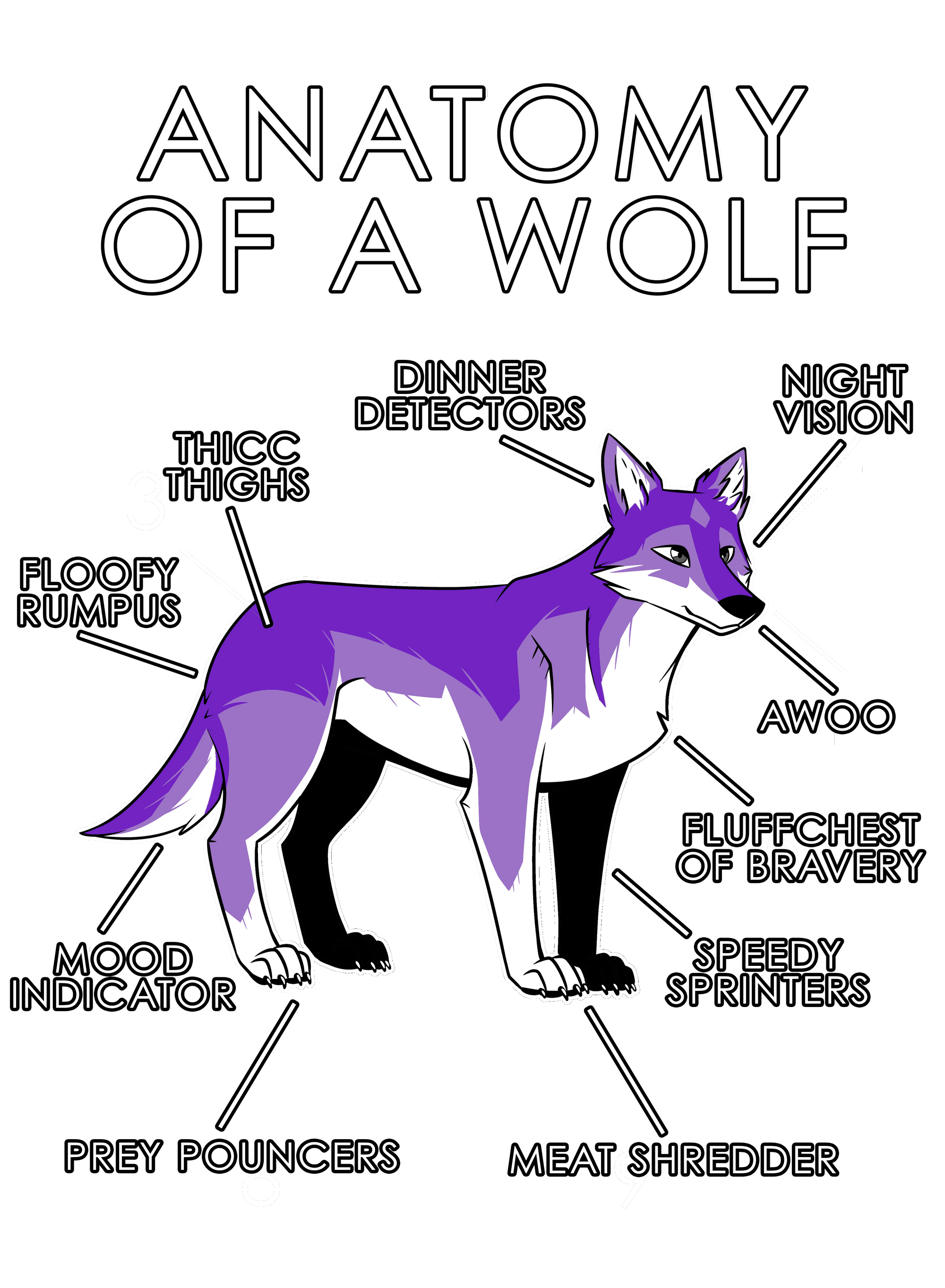 Anatomy Series - Gen 1 - Anatomy of a Wolf - Purple