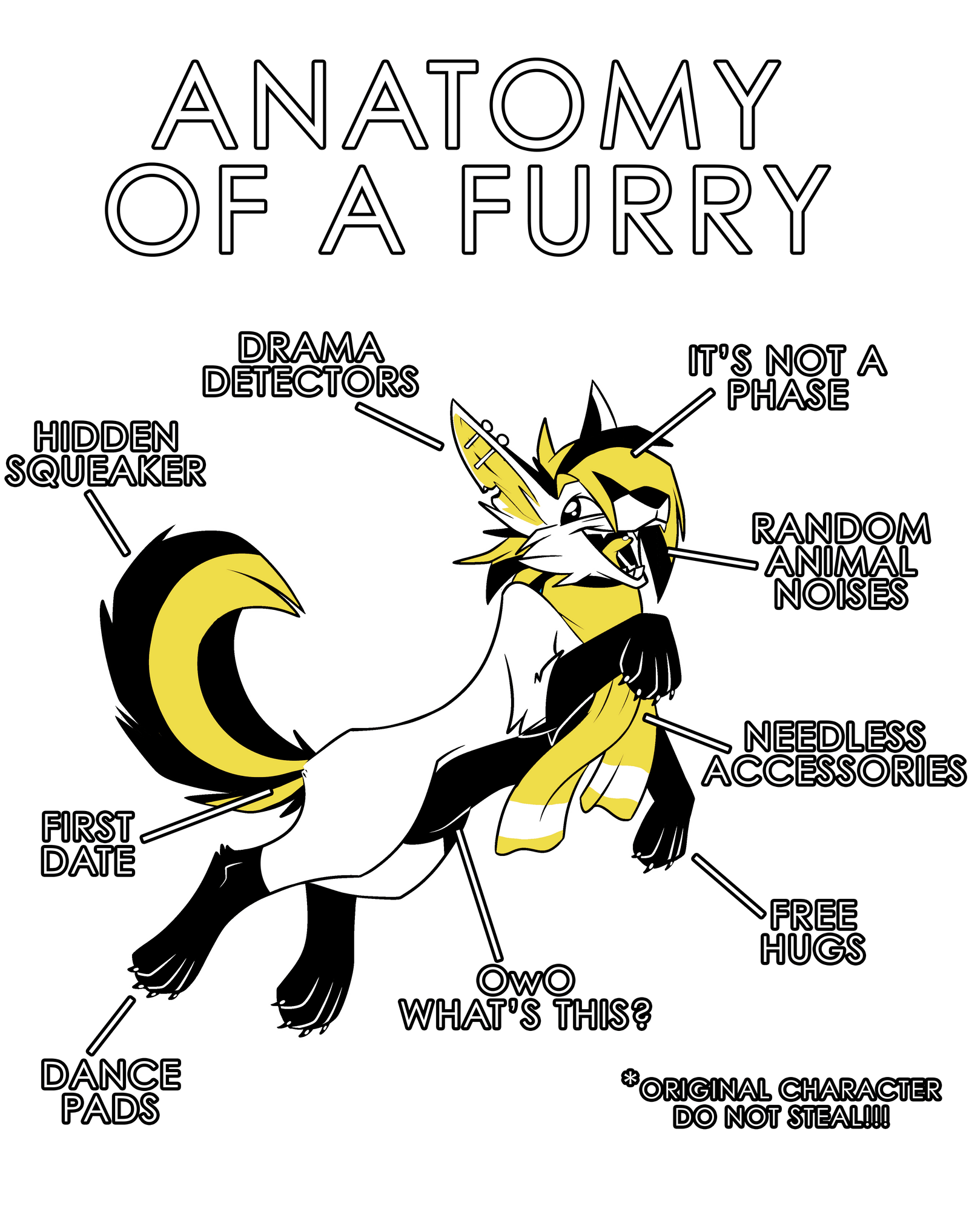 Anatomy Series - Gen 1 - Anatomy of a Furry - Yellow