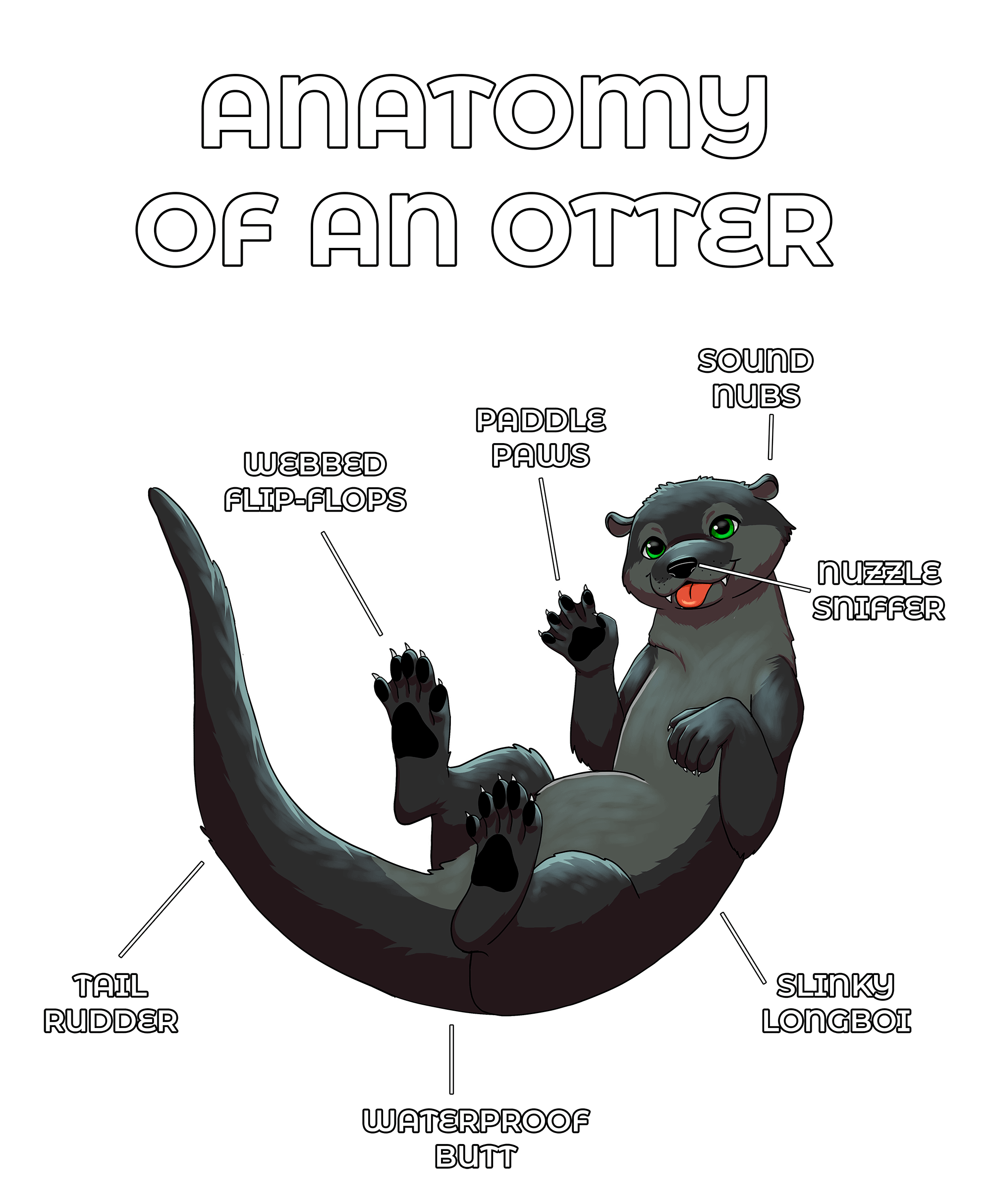 Anatomy Series - Gen 2 - Anatomy of an Otter - Black