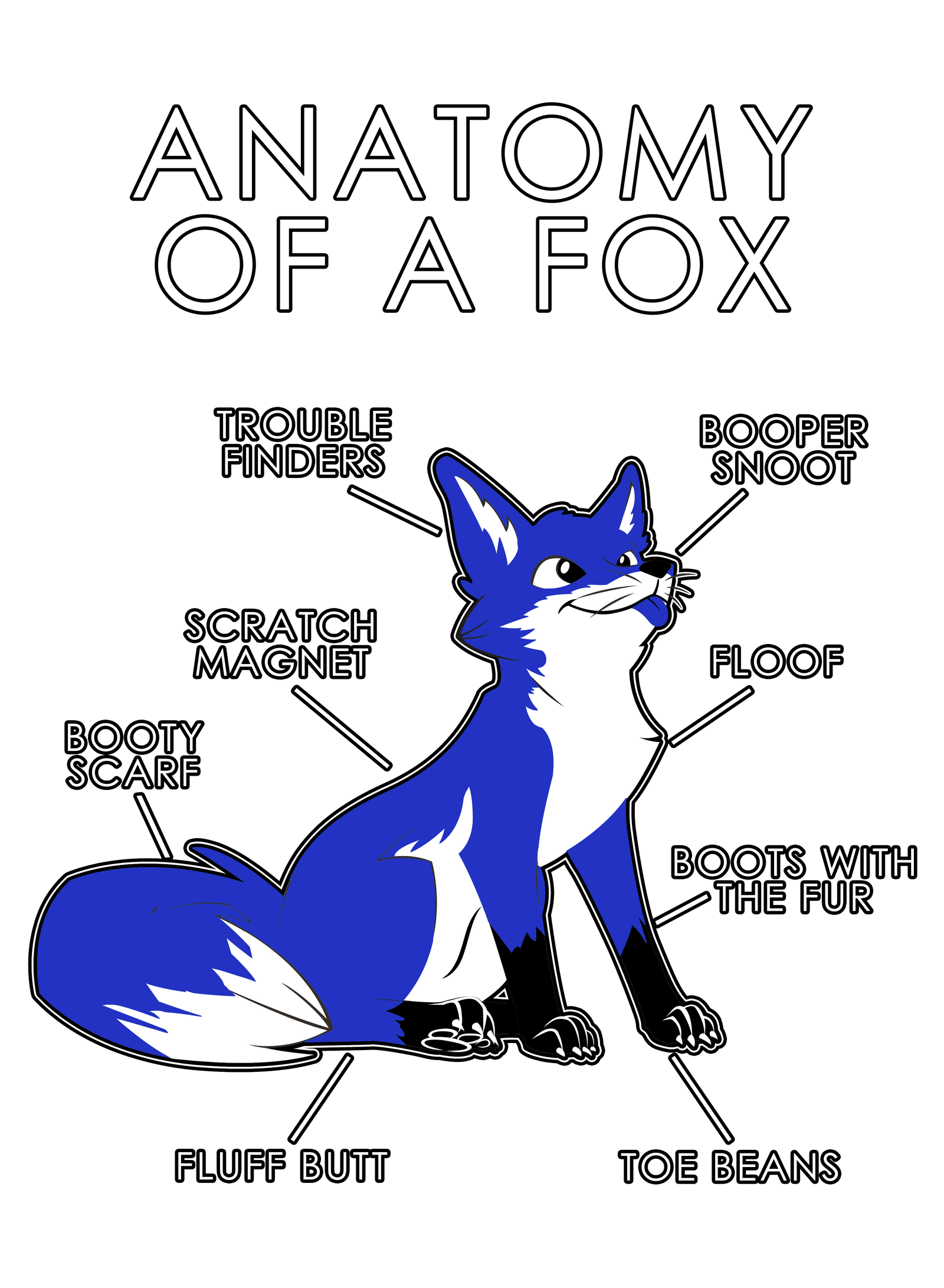 Anatomy Series - Gen 1 - Anatomy of a Fox - Blue