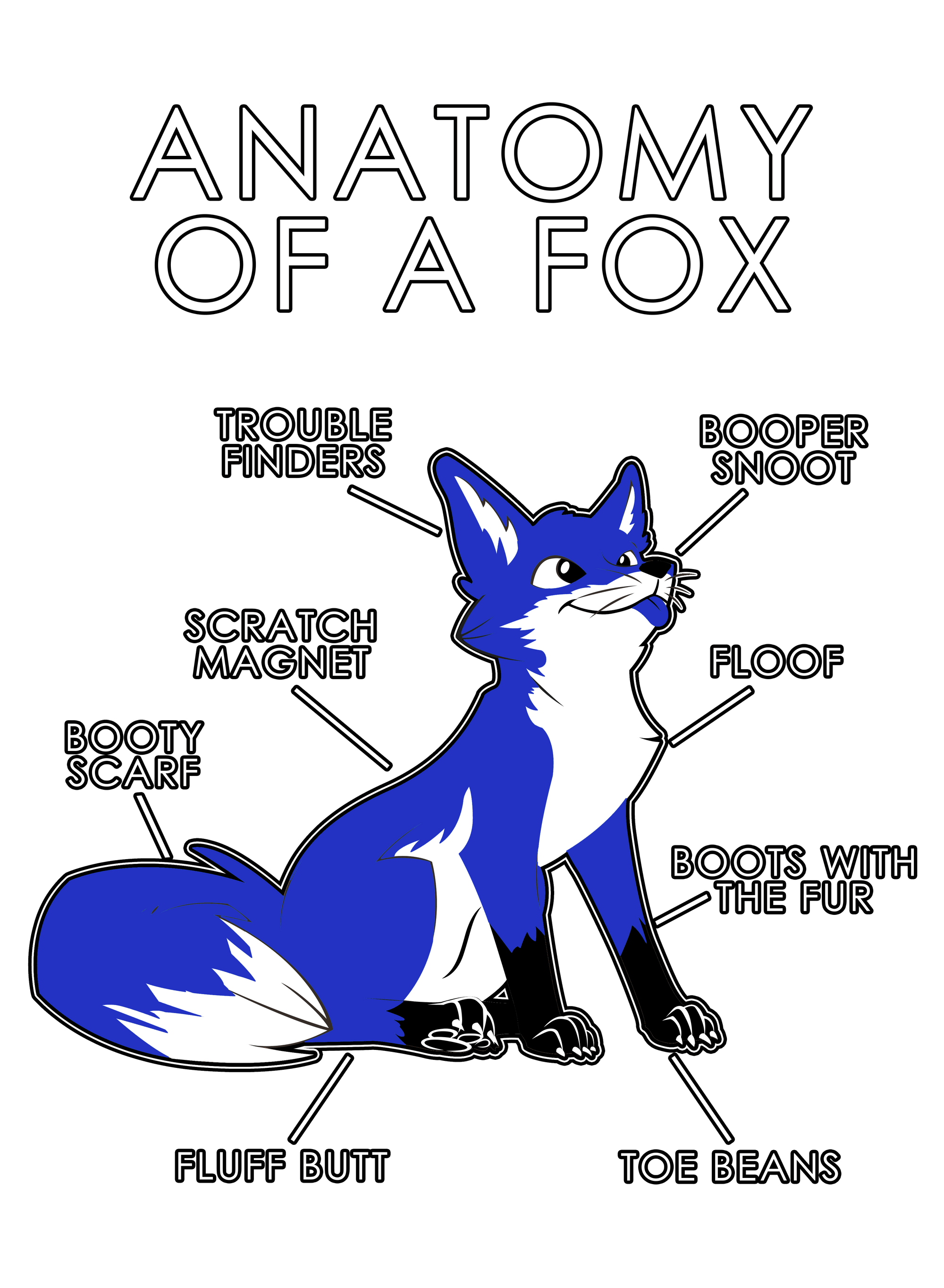 Anatomy Series - Gen 1 - Anatomy of a Fox - Blue