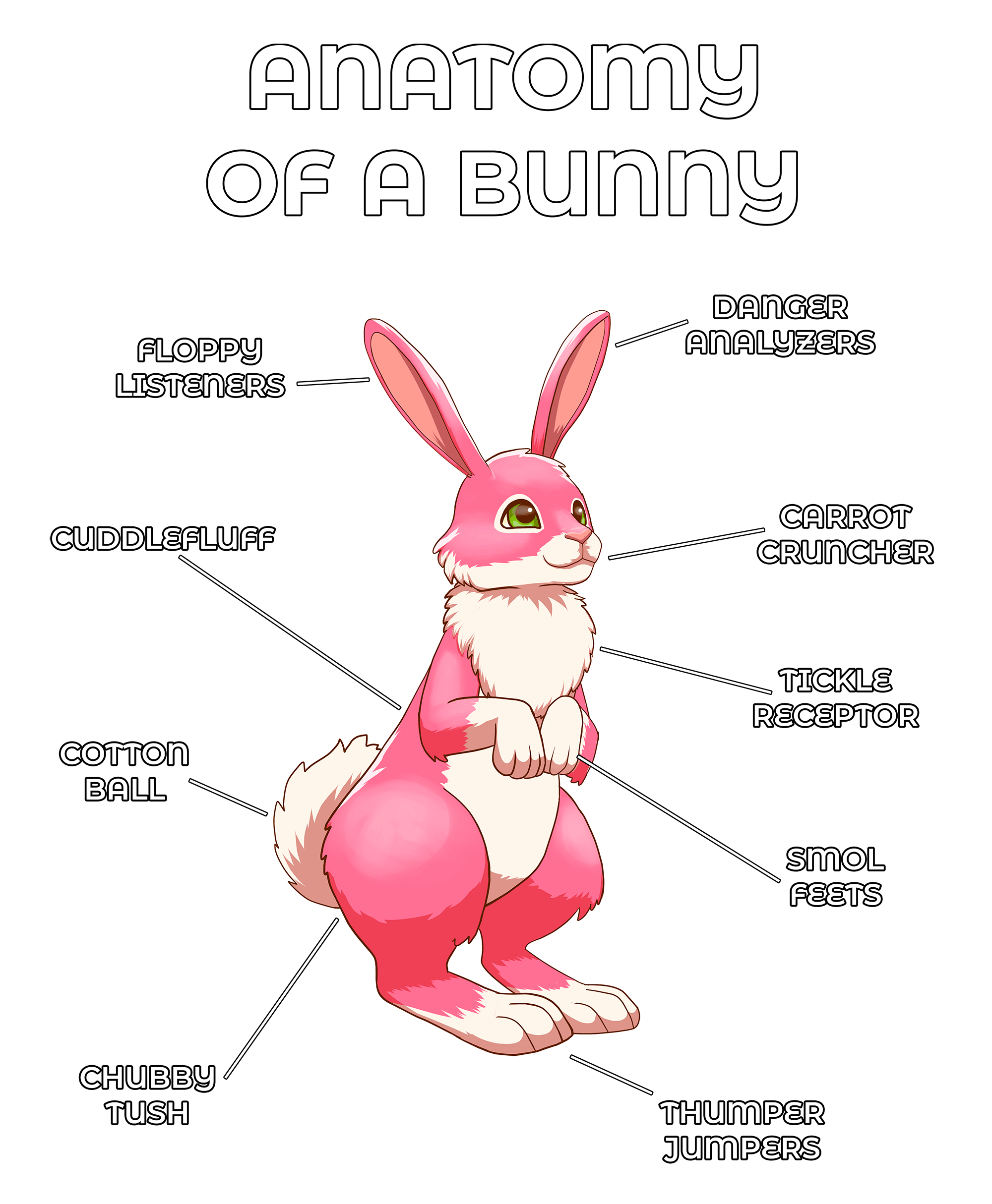 Anatomy Series - Gen 2 - Anatomy of a Bunny - Pink