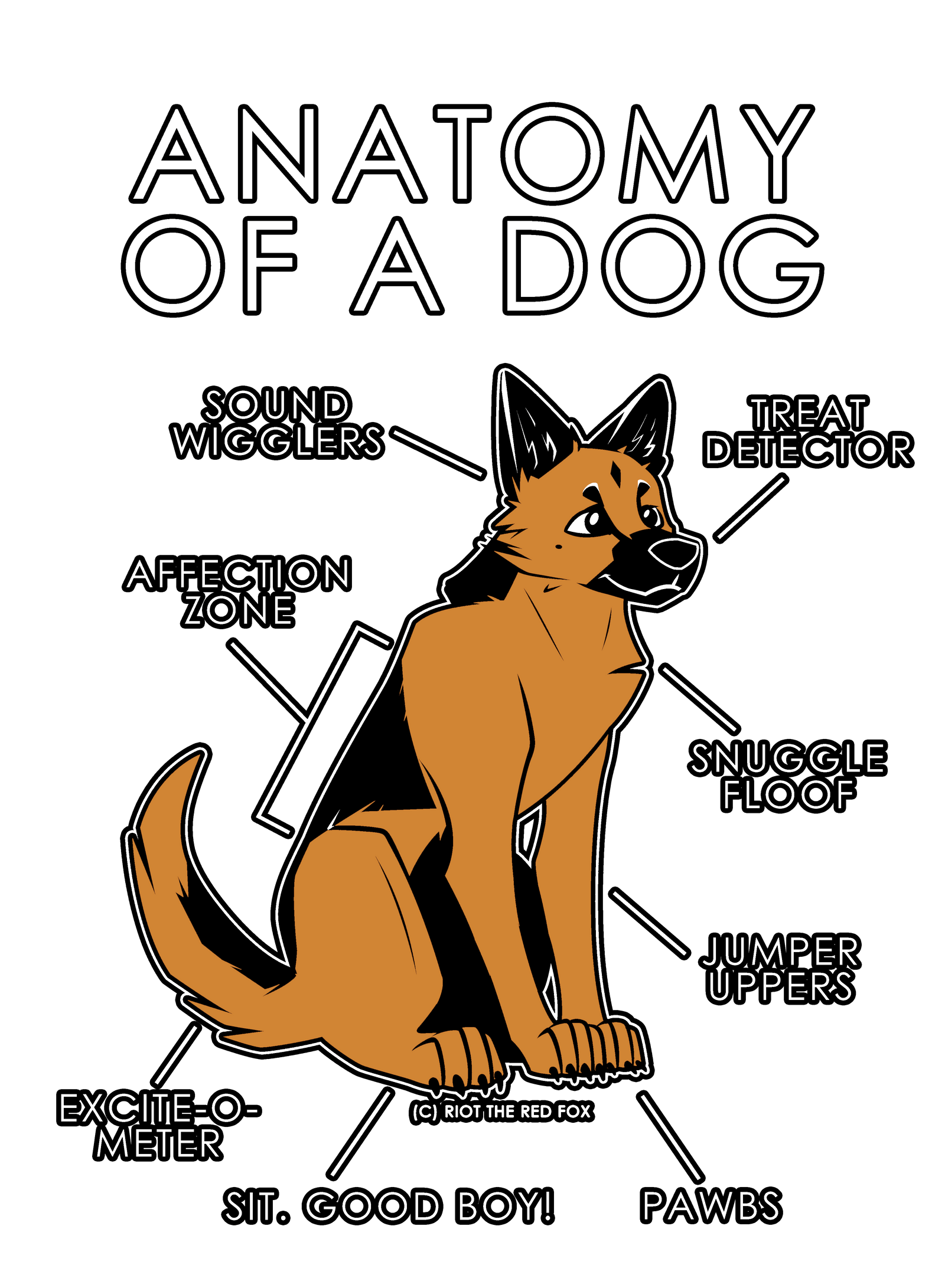 Anatomy Series - Gen 1 - Anatomy of a Dog - Orange