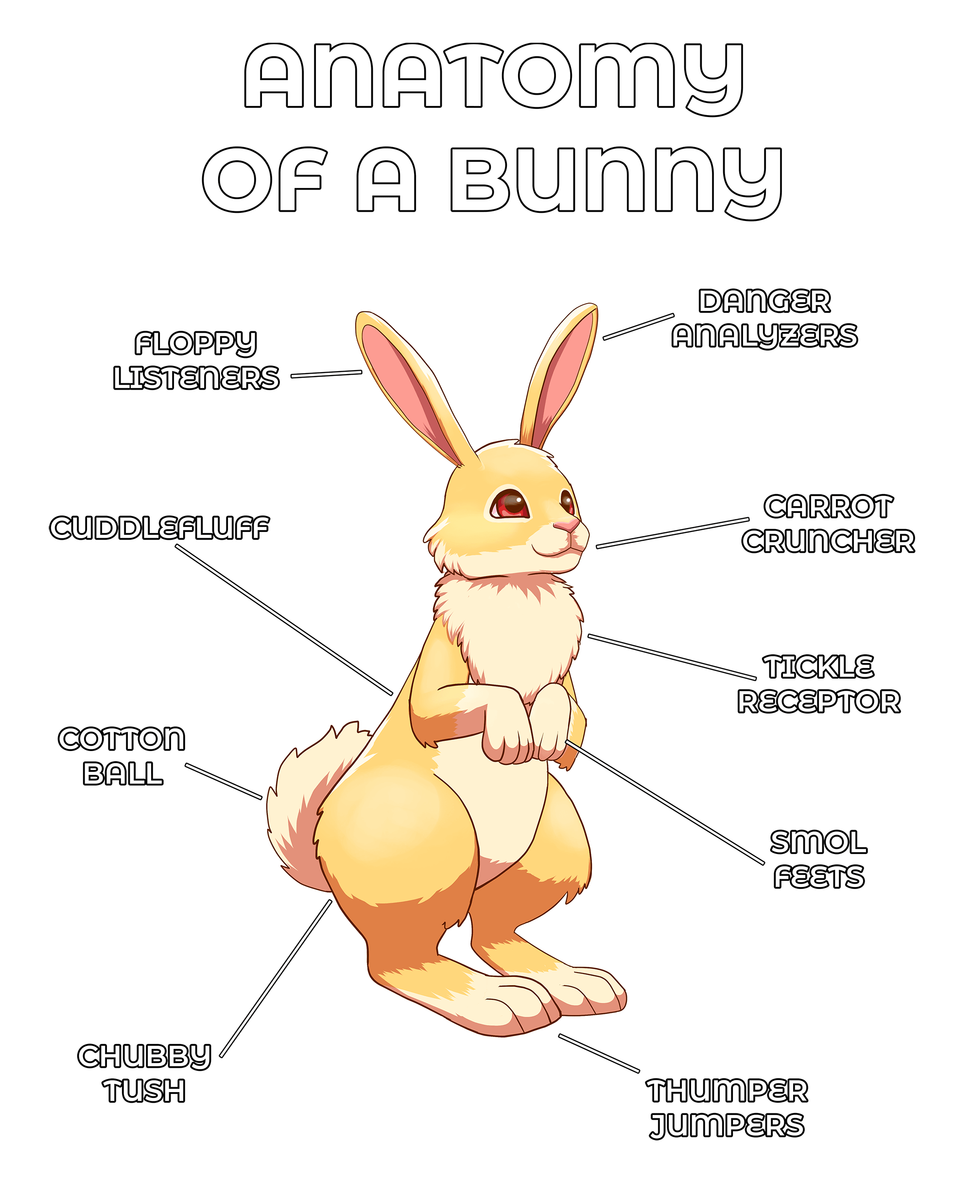 Anatomy Series - Gen 2 - Anatomy of a Bunny - Yellow