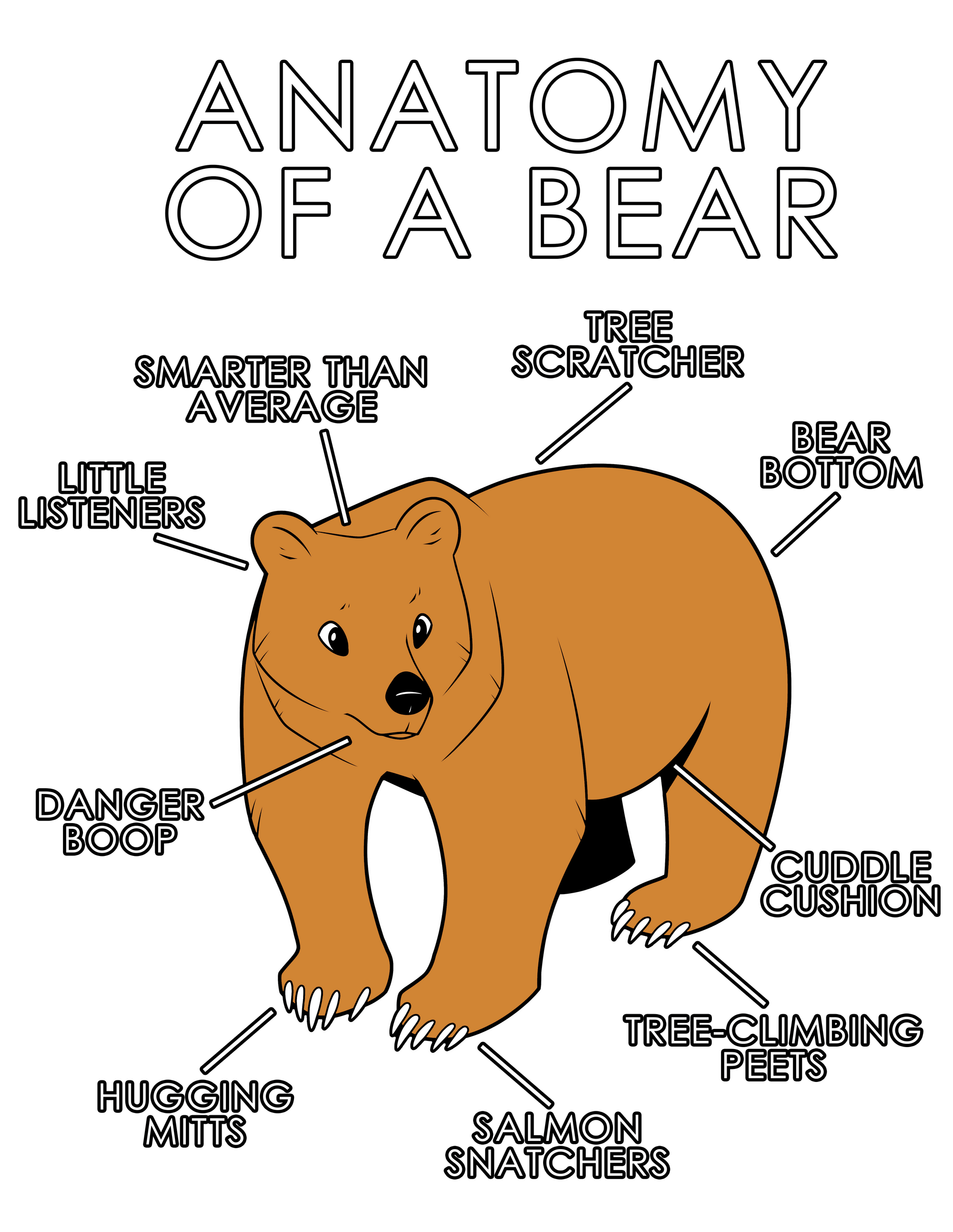Anatomy Series - Gen 1 - Anatomy of a Bear - Orange