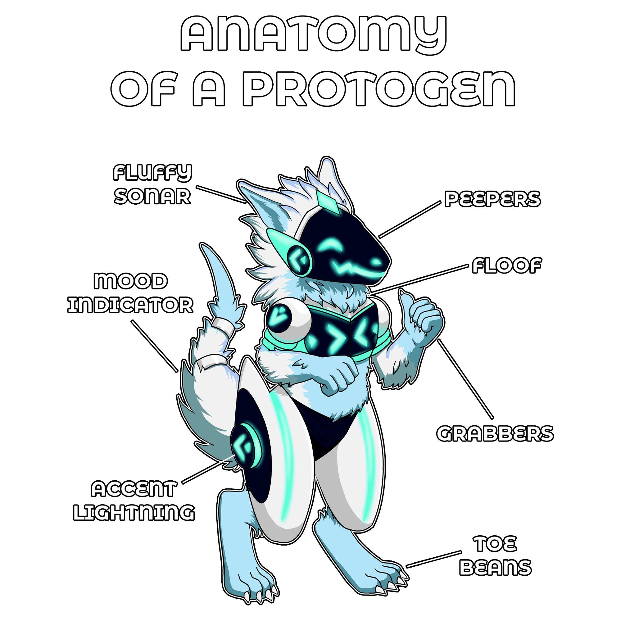 Anatomy Series - Gen 2 - Anatomy of a Protogen - White