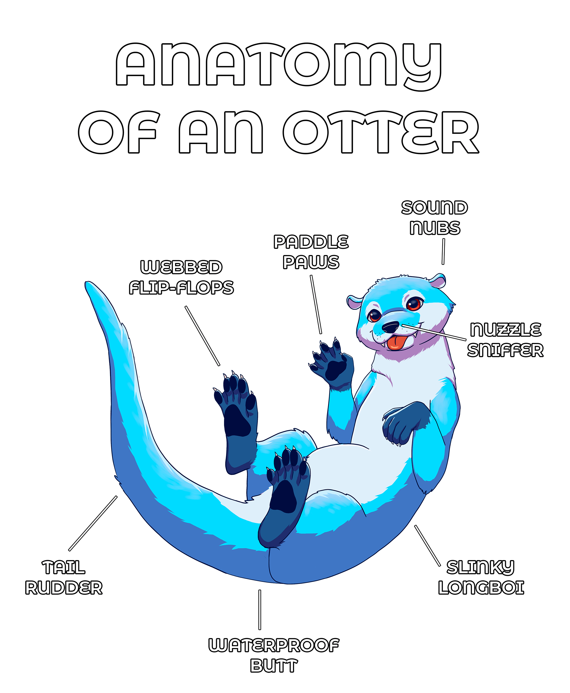 Anatomy Series - Gen 2 - Anatomy of an Otter - Blue