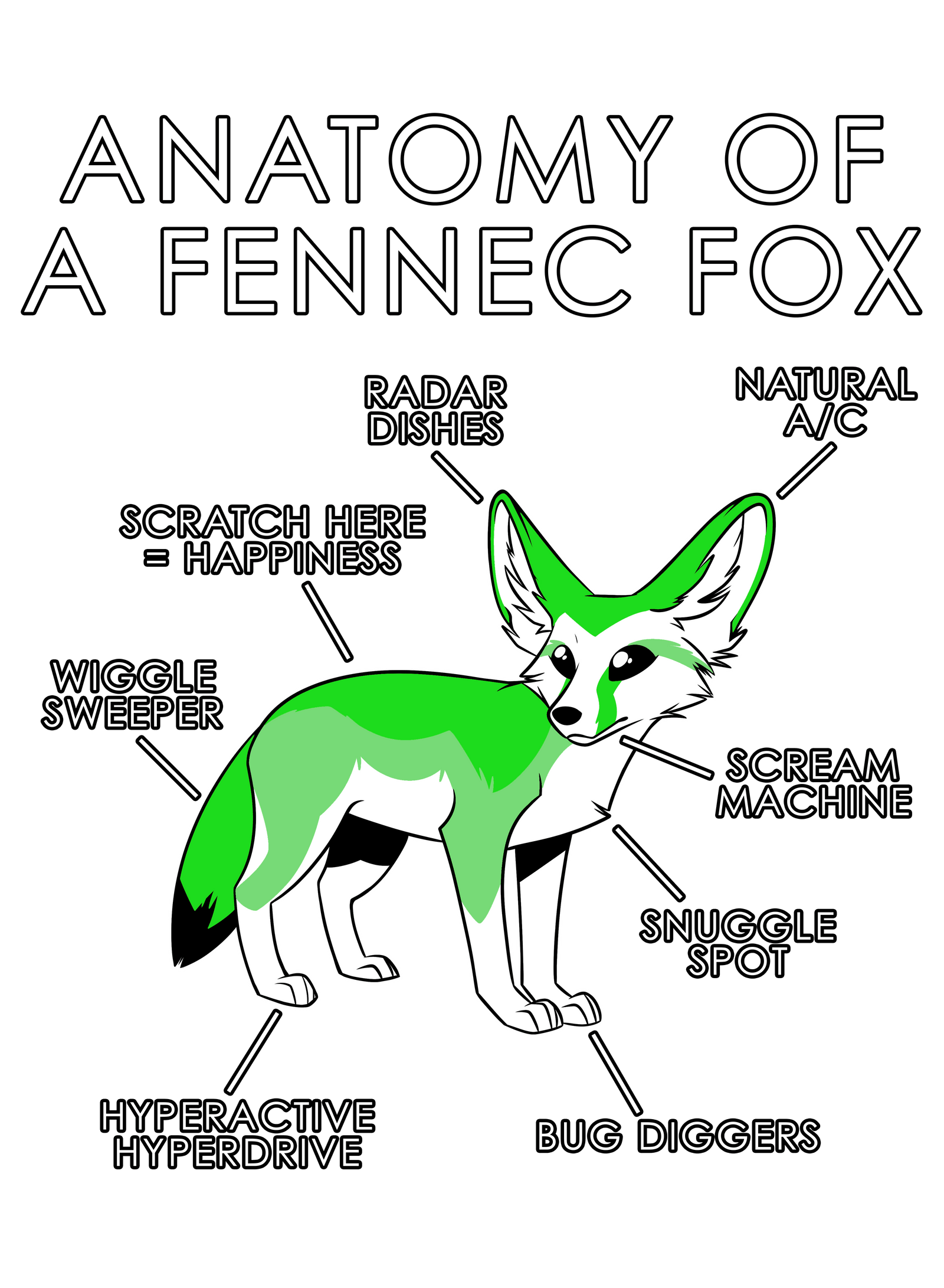 Anatomy Series - Gen 1 - Anatomy of a Fennec - Green