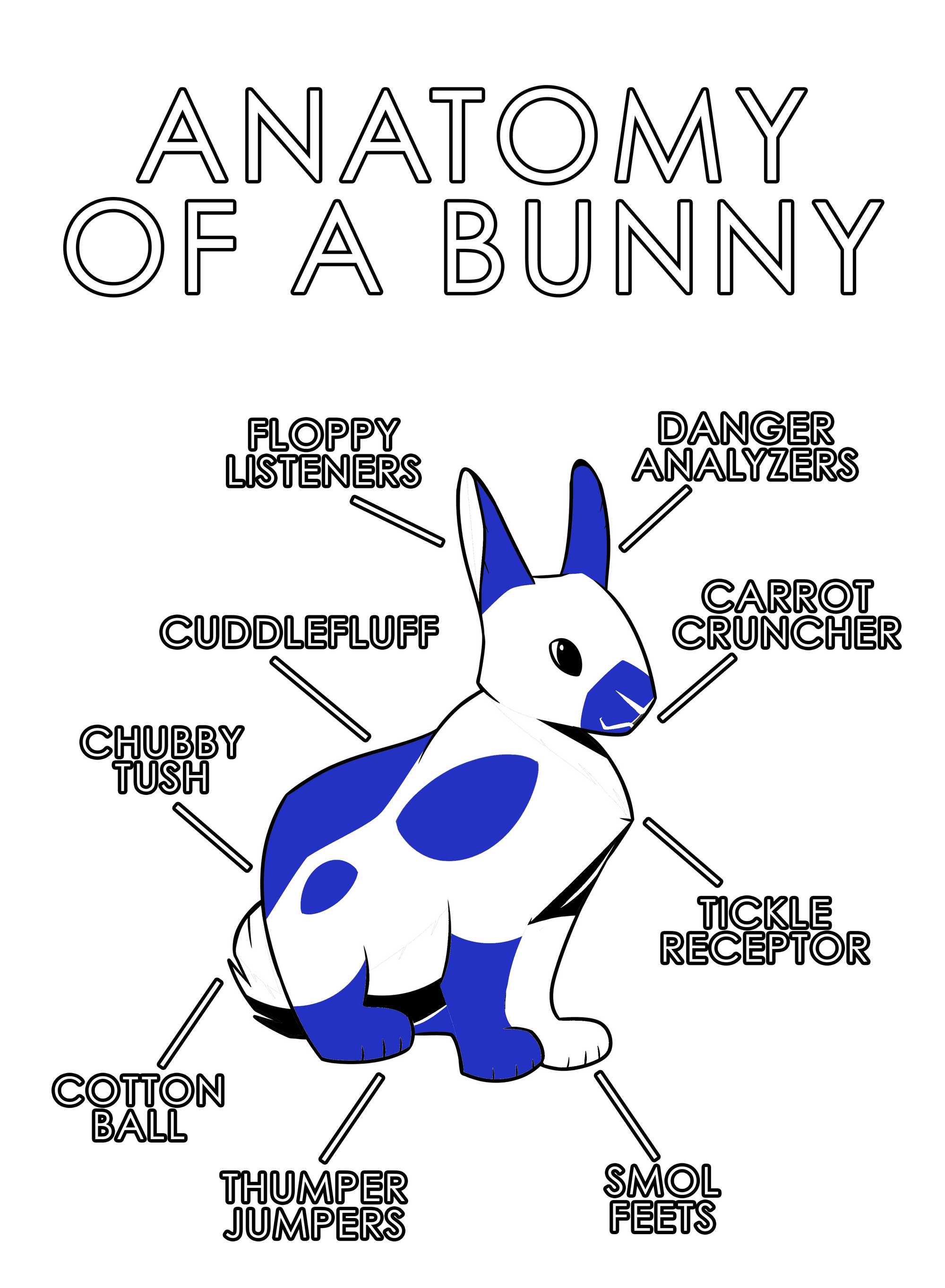 Anatomy Series - Gen 1 - Anatomy of a Bunny - Blue