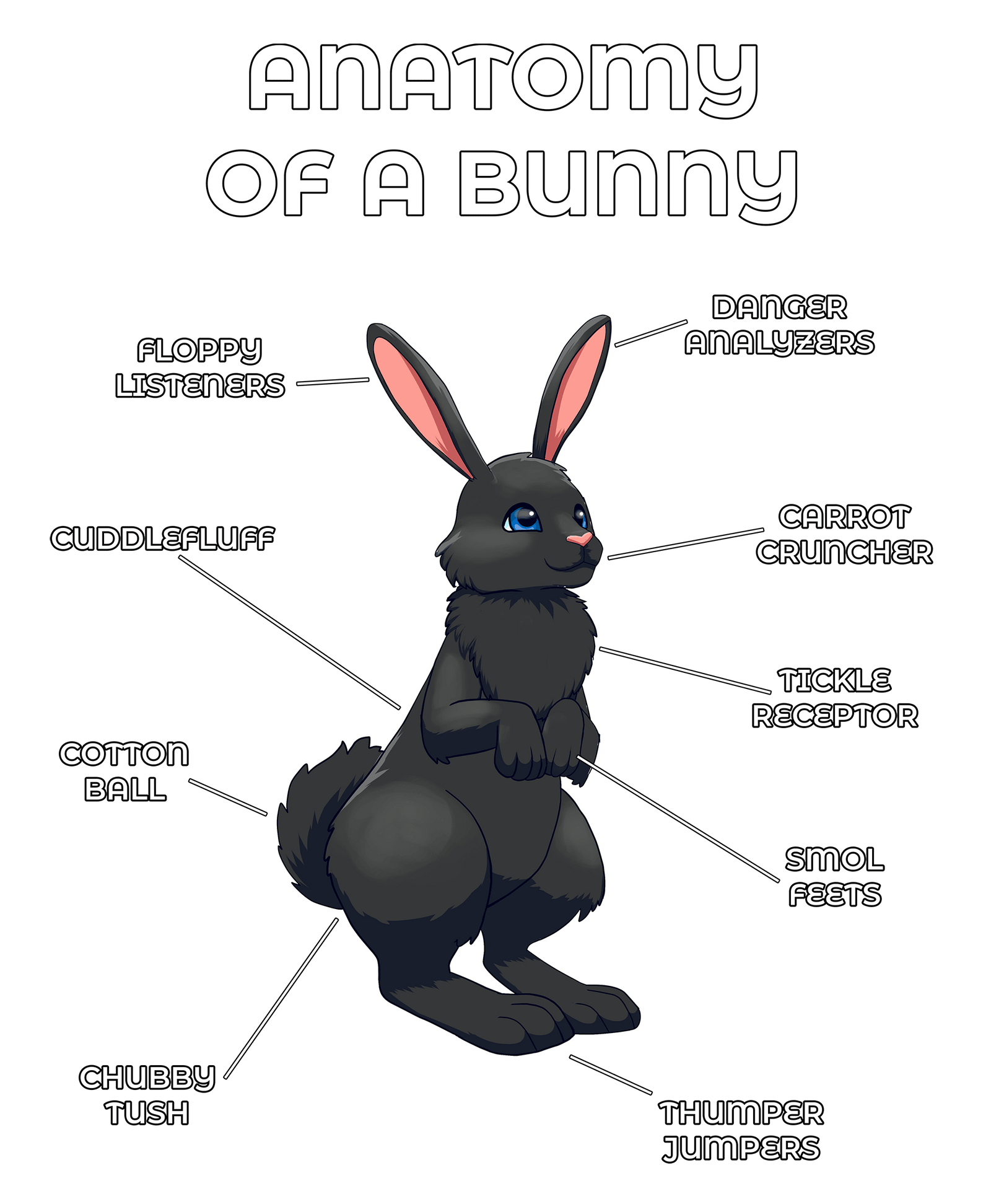 Anatomy Series - Gen 2 - Anatomy of a Bunny - Black
