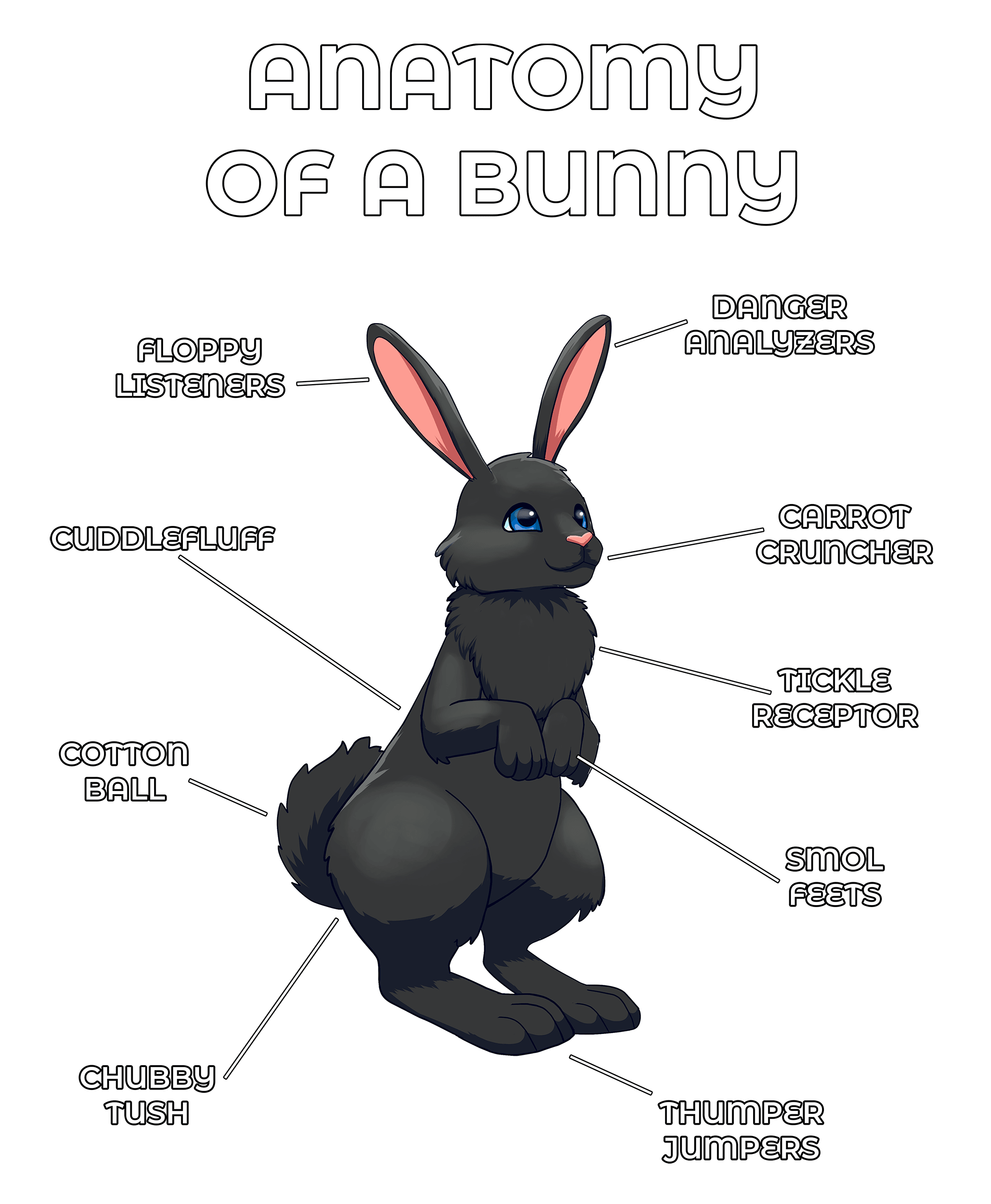 Anatomy Series - Gen 2 - Anatomy of a Bunny - Black