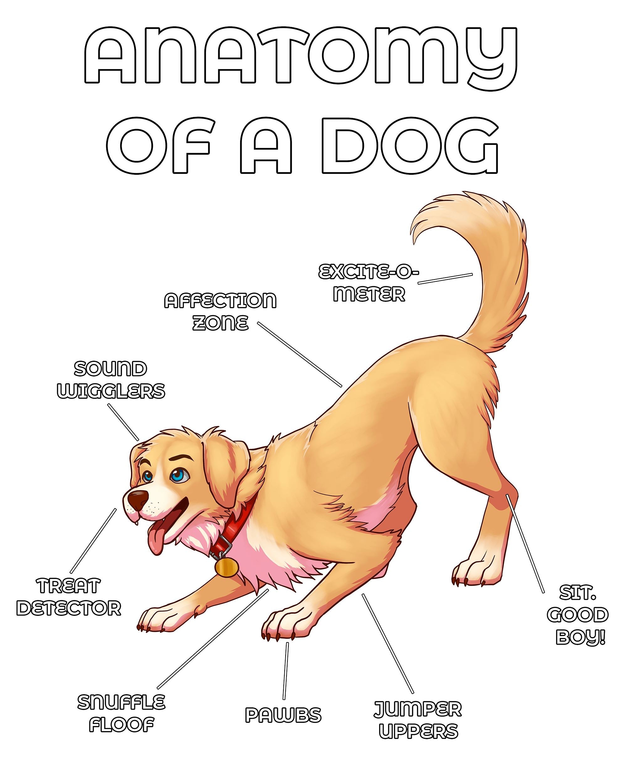 Anatomy Series - Gen 2 - Anatomy of a Dog - Yellow