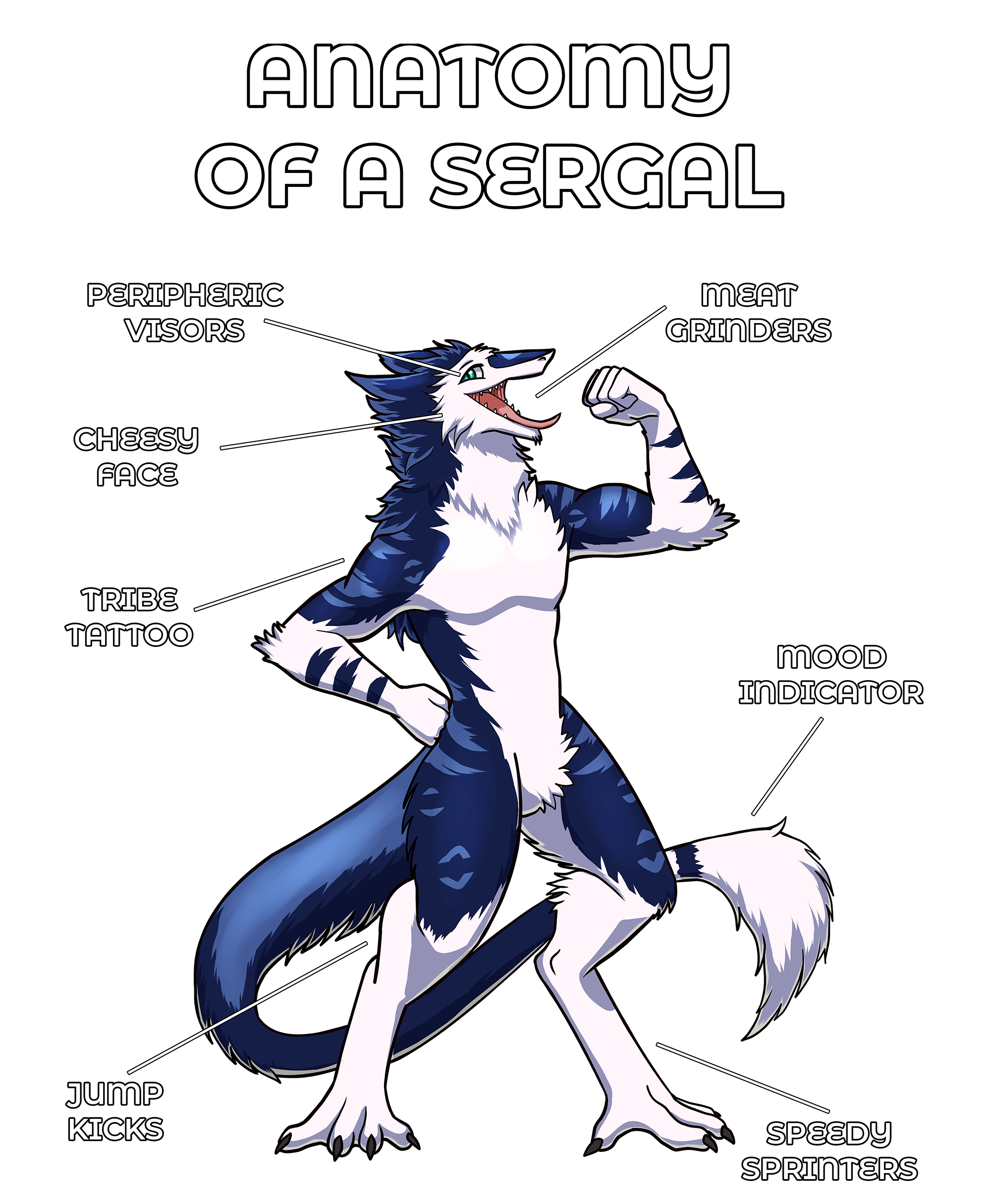 Anatomy Series - Gen 2 - Anatomy of a Sergal - Blue