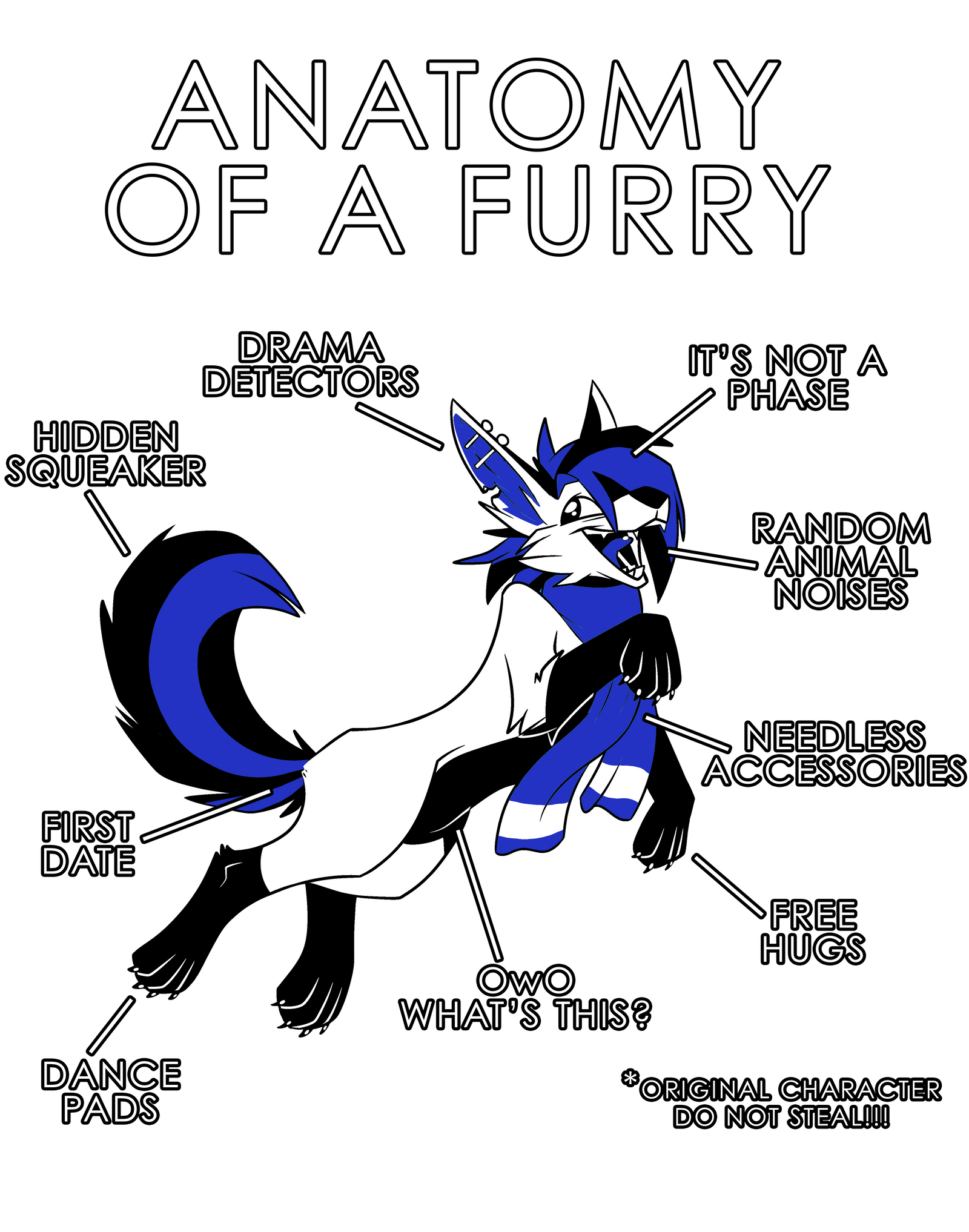 Anatomy Series - Gen 1 - Anatomy of a Furry - Blue