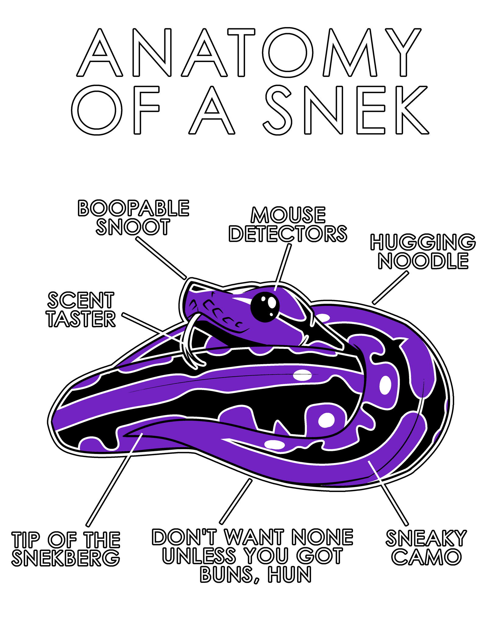 Anatomy Series - Gen 1 - Anatomy of a Snek - Purple