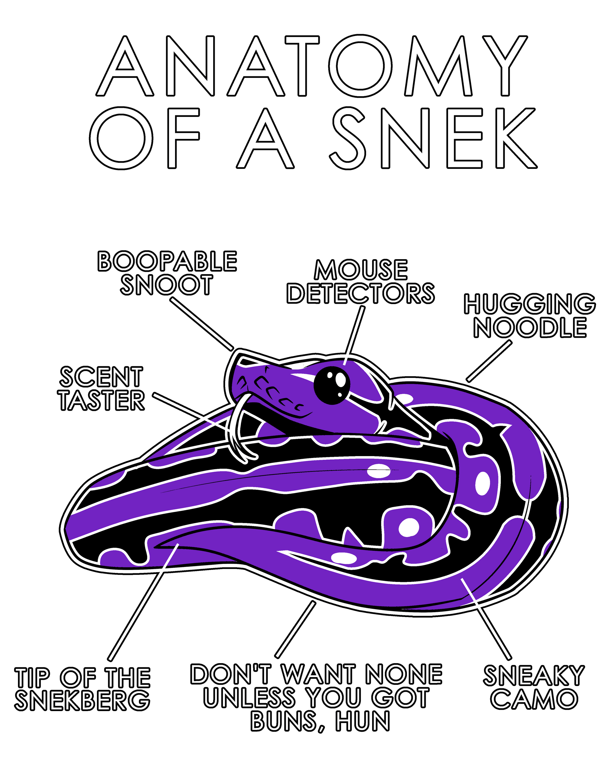 Anatomy Series - Gen 1 - Anatomy of a Snek - Purple