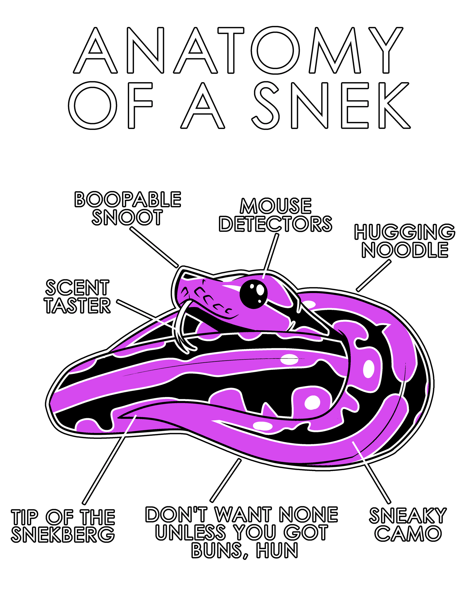 Anatomy Series - Gen 1 - Anatomy of a Snek - Pink