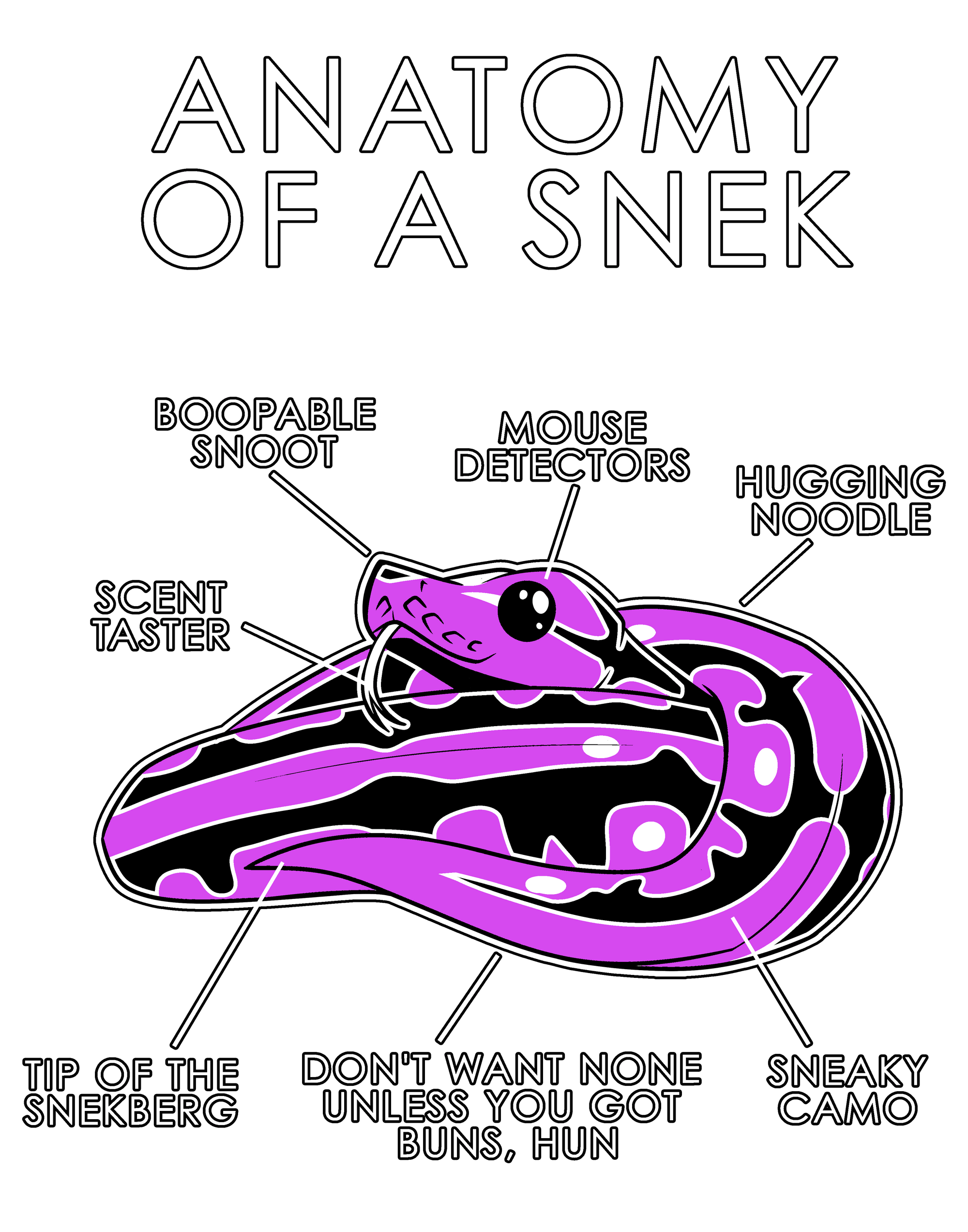 Anatomy Series - Gen 1 - Anatomy of a Snek - Pink